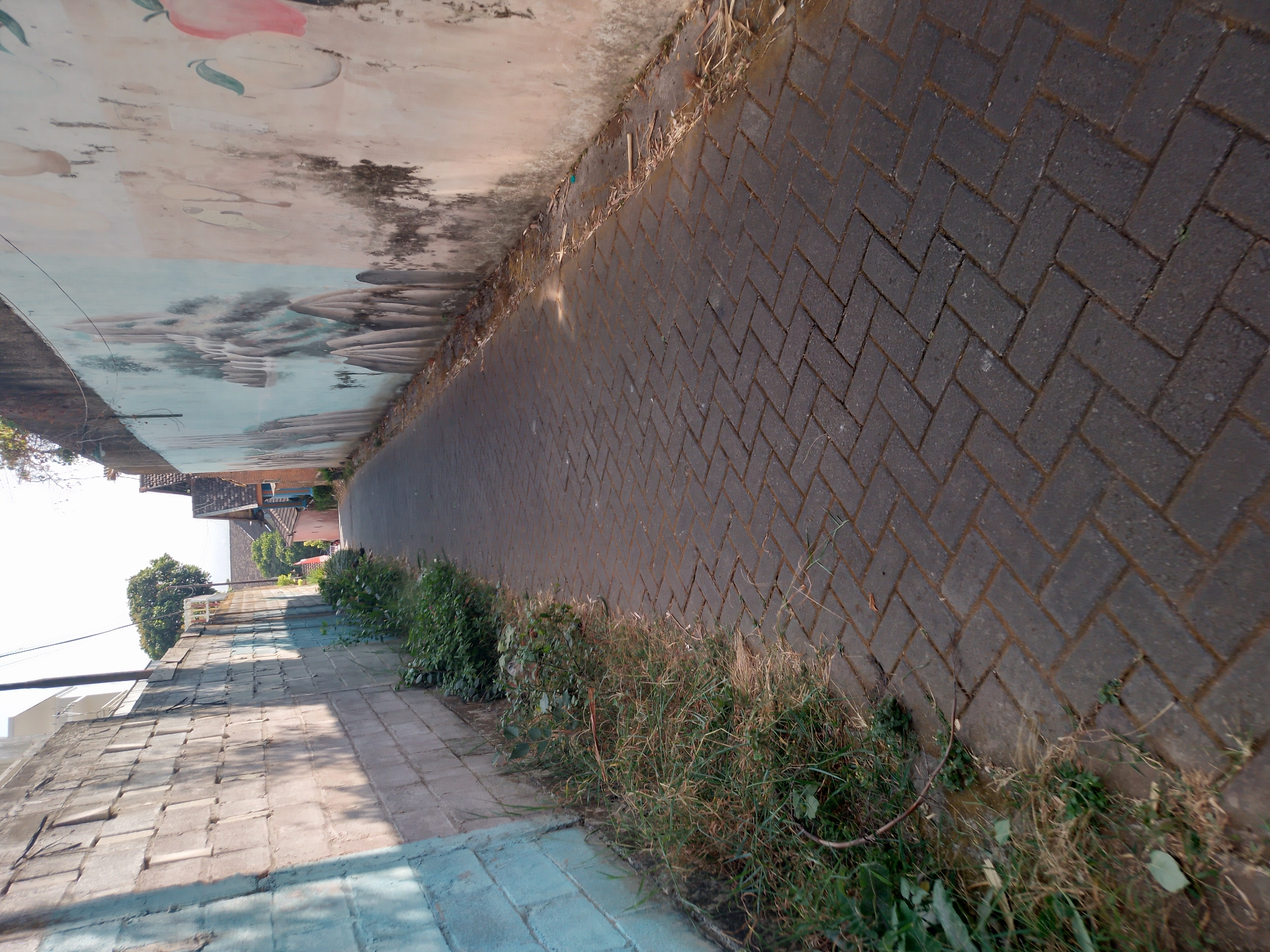 The image depicts a narrow, paved alleyway in the city of Batu, Indonesia, bordered by walls on both sides. The wall on the left is constructed of light-colored cinder blocks, partially painted with a light blue hue. The wall on the right features a mural depicting a mountainous landscape with water, and further along, faded images of fruit and other figures. The alleyway is paved with dark, rectangular interlocking bricks laid in a herringbone pattern. Overgrown green grass and weeds are visible along the base of both walls, encroaching onto the edges of the pavement in some areas. Dried leaves and debris are scattered on the ground near the base of the right wall. The alley recedes into the distance, where houses with tiled roofs and trees can be seen under a bright, overcast sky. The scene appears to be devoid of people. The lighting suggests it is daytime.