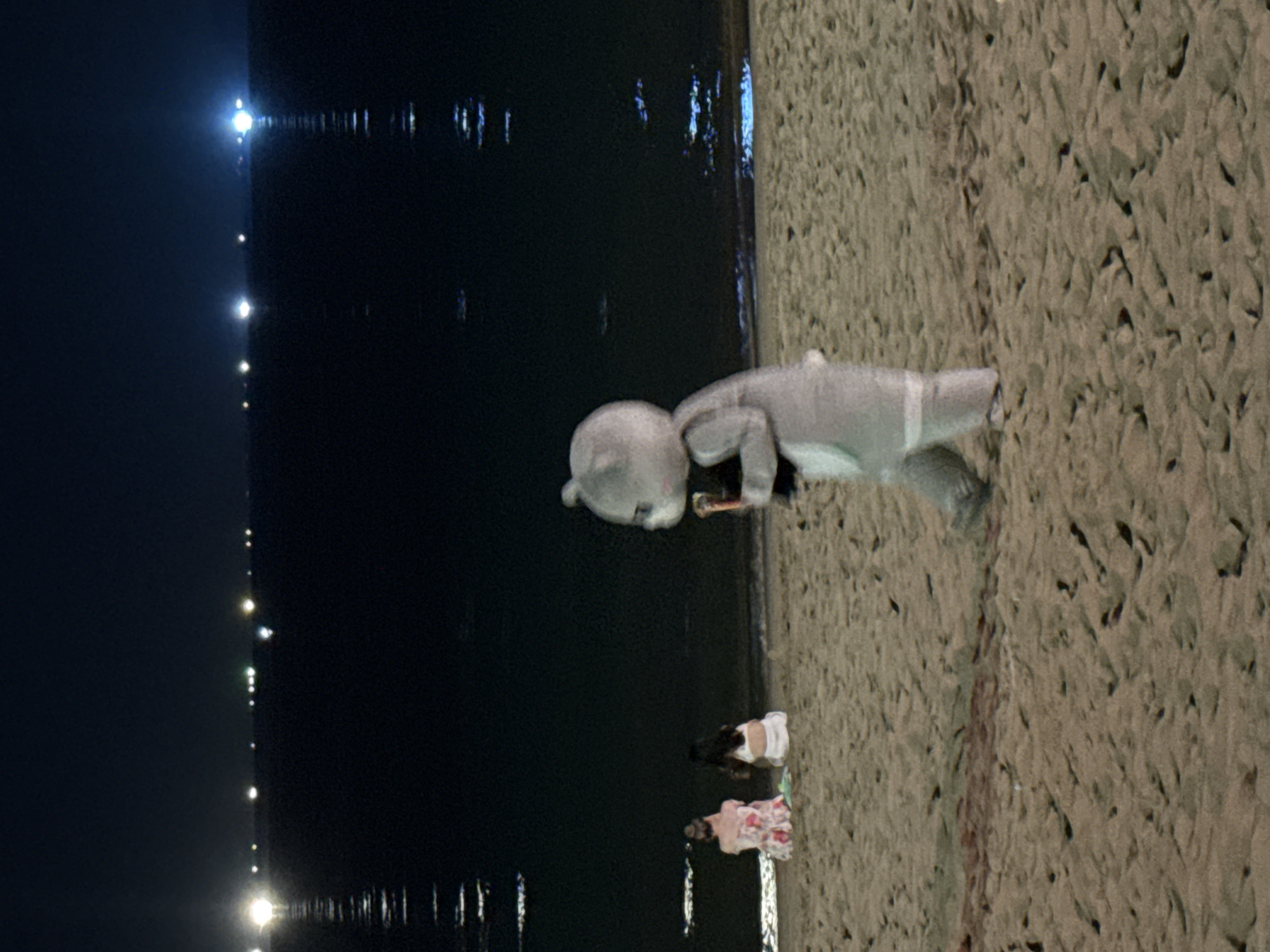 At night, the scene captures a portion of a beach within the Nha Trang Ward, Vietnam, cityscape. A grey inflatable toy sits in the mid-ground next to the shoreline. Further along the beach, two people are visible. The backdrop features a dark expanse of water reflecting a string of lights originating from the city. The immediate surroundings consist of sand.