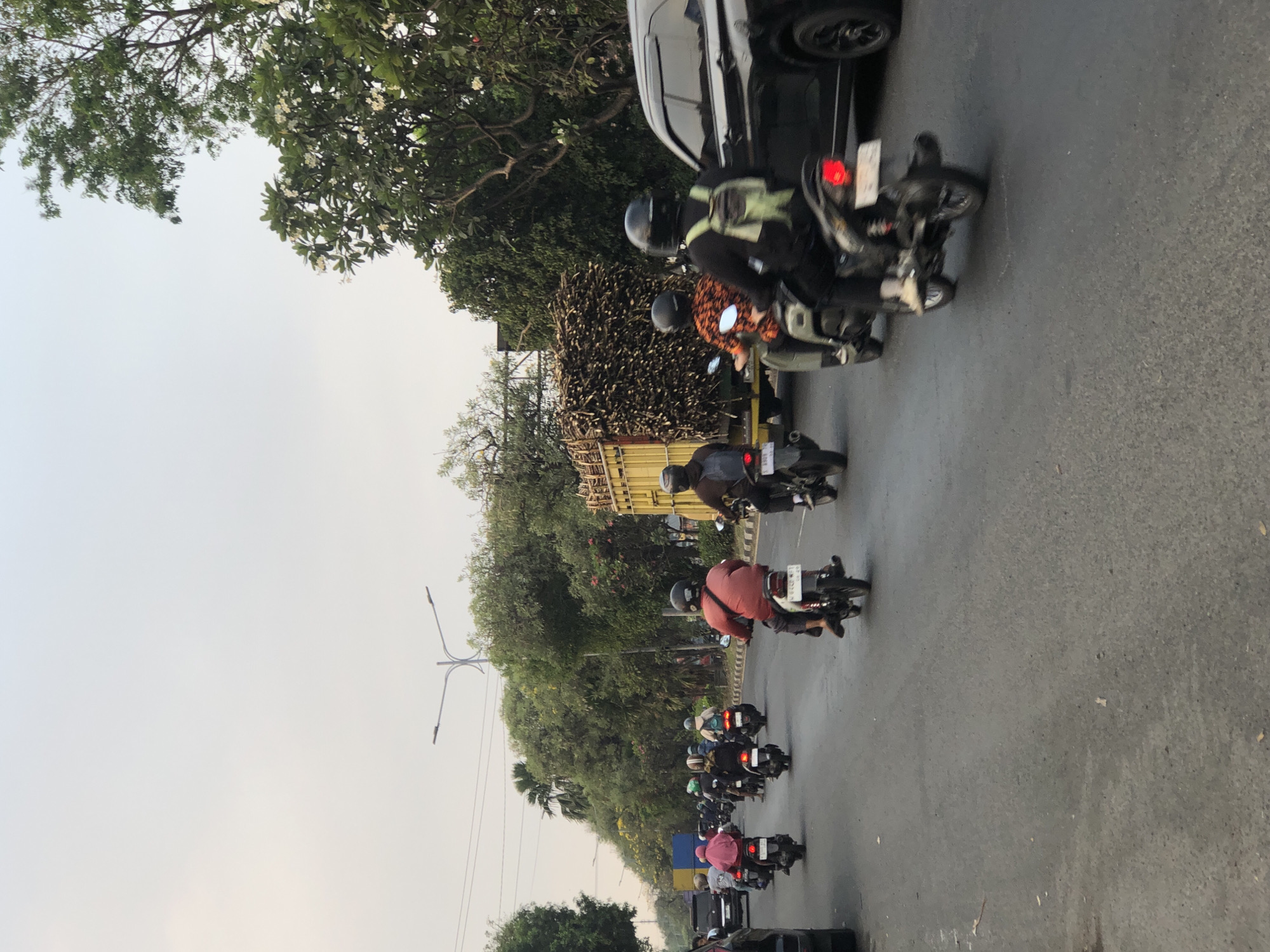 This is a medium shot, outdoor, vertical photograph of a street scene in Ngaban, Indonesia, depicting moderate traffic. The time of day appears to be late afternoon or early evening, with soft, diffused lighting.
In the foreground, several motorbikes are on the road. A motorbike with a red-shirted rider is in the right lane, facing away from the camera. To its left, another motorbike with an orange and black patterned shirt is also moving away. Further left, multiple motorbikes are seen in various lanes. One motorbike rider is wearing a pink headscarf.
In the middle ground, a large truck loaded with sugarcane is visible. The truck is yellow and its trailer is piled high with harvested sugarcane stalks. Beside the truck, a black car is also on the road, traveling in the same direction.
The background is lined with lush green trees, indicating a possibly semi-urban or suburban area. A streetlamp with two lights is visible above the trees, and power lines are strung across the sky. The sky itself is overcast and pale, contributing to the soft lighting. The road is asphalt and appears to be a multi-lane street with a concrete median. The overall impression is one of daily life and commerce in an Indonesian city.