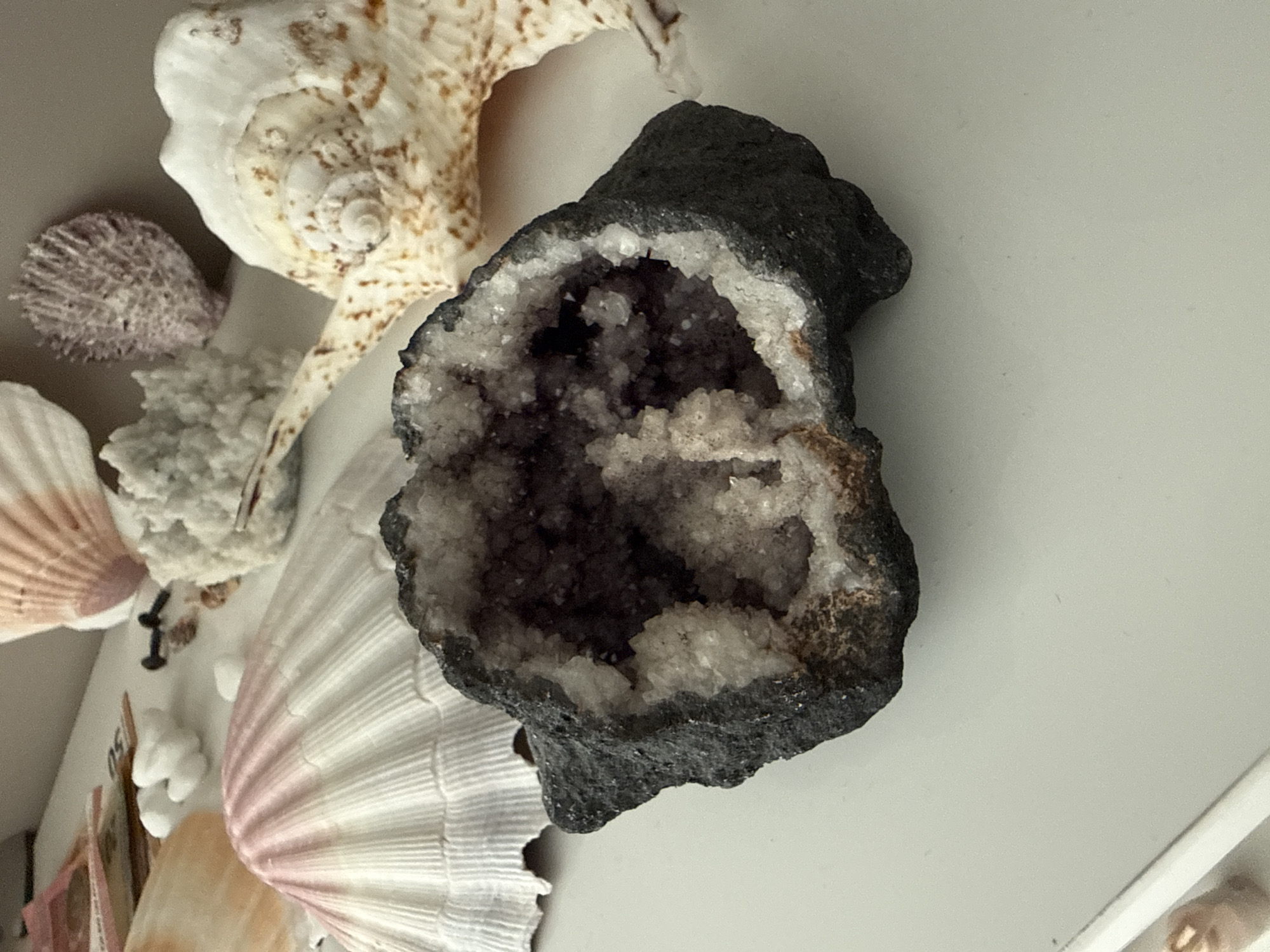 The image displays a collection of natural objects, primarily seashells and a geode, arranged on a white surface. The central subject is a dark, rough geode cracked open to reveal a cavity lined with white and purple crystals. To the left of the geode is a large, white seashell with pink striations, and behind it, a lighter, fan-shaped shell. Further back, there are other shells, including a textured, light brown spiral shell on the right and a small, spiky purple shell in the upper center. Some paper currency is visible in the upper left corner. The lighting suggests an indoor setting, possibly a display or shelf. There is no indication of the city of Burgas, Bulgaria, in the image itself.