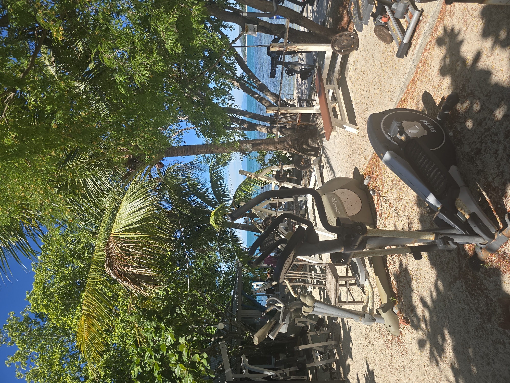 An outdoor gym is situated on a sandy surface, nestled amongst trees with a view of the ocean. The gym equipment includes several elliptical machines, weight benches with weight plates, and weight racks. In the foreground, an elliptical machine is prominent. In the background, palm trees and other lush green foliage create a canopy, with the blue ocean visible beyond. The sky is clear and bright blue. The setting suggests a tropical or subtropical climate.