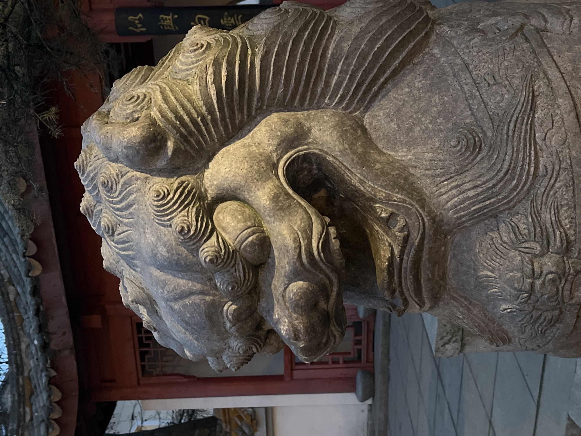 The image depicts a static, eye-level view of a weathered grey stone guardian lion (Foo dog) statue, located within the Chinese Garden of Friendship, Primorsky Victory Park, Saint Petersburg, Russia. The statue occupies the majority of the foreground and midground, presenting its head and upper torso in profile, facing towards the left side of the frame. Its mouth is open, revealing carved teeth and an interior element. The stone surface is intricately sculpted with swirling and linear patterns representing its mane and fur. Direct illumination from the upper left casts defined highlights on the statue's textured features and deepens shadows.
In the background, a traditional East Asian-style pavilion is partially visible. It features prominent red wooden structural elements, including pillars and beams, contrasting with white wall sections. A dark, multi-tiered tiled roof with distinctly upturned eaves crowns the structure. A dark window or doorway with a geometric lattice pattern is partially visible behind the statue's left side. To the right of the statue's head, a dark vertical banner or plank bearing white Chinese characters is present. Overhead, dark, sparse tree branches are discernible against the ambient sky. The ground plane consists of grey, possibly concrete or stone, paving tiles. No human figures or discernible actions are present.