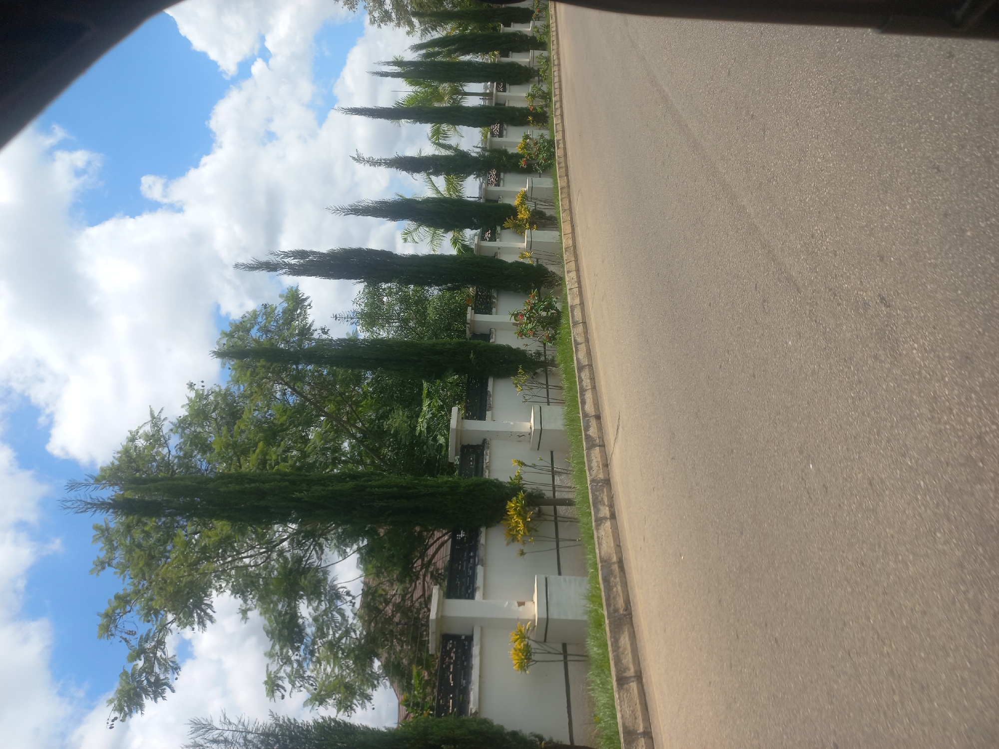 The image depicts a street view in the city of Jos, Nigeria, characterized by a paved road bordering a white ornamental wall. Along the wall, a row of tall, slender cypress trees stands, interspersed with smaller ornamental shrubs and flowering plants, some bearing yellow and red blossoms. The wall itself features white pillars topped with darker decorative elements. Behind the wall, a large house with a brown tiled roof is partially visible, surrounded by lush green trees and foliage. The sky above is a bright blue, adorned with scattered white cumulus clouds. The perspective suggests the photo was taken from a moving vehicle, with the edge of the vehicle's interior visible in the lower right corner.