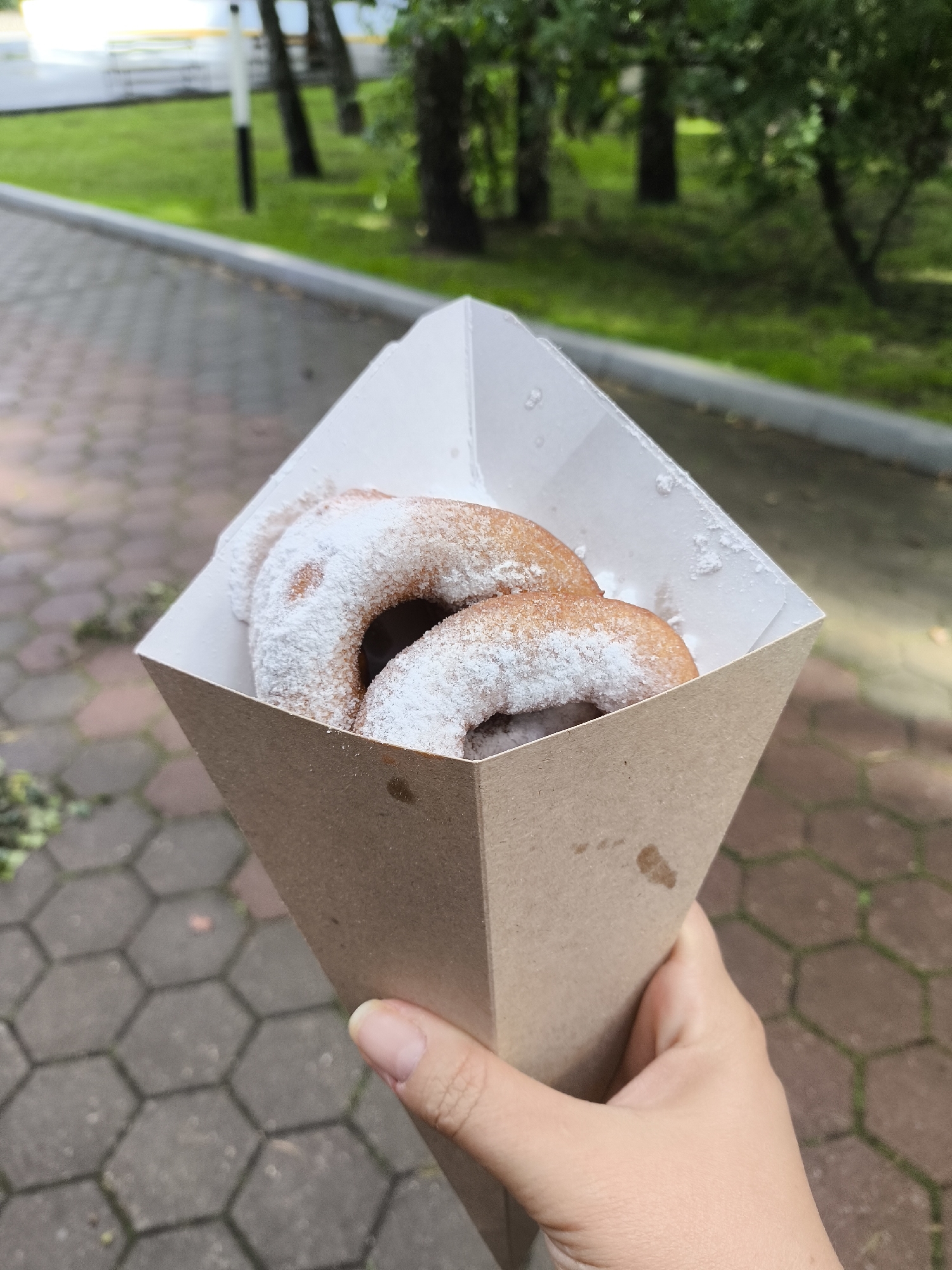 A hand holds a brown paper cone filled with two powdered donuts, which are dusted with white powdered sugar. The donuts are golden brown with a slightly irregular shape. The background shows a paved walkway with hexagonal tiles, green grass, and trees. The scene appears to be outdoors in a park or city street setting. The specific location in Domodedovo, Russia cannot be determined from the image.