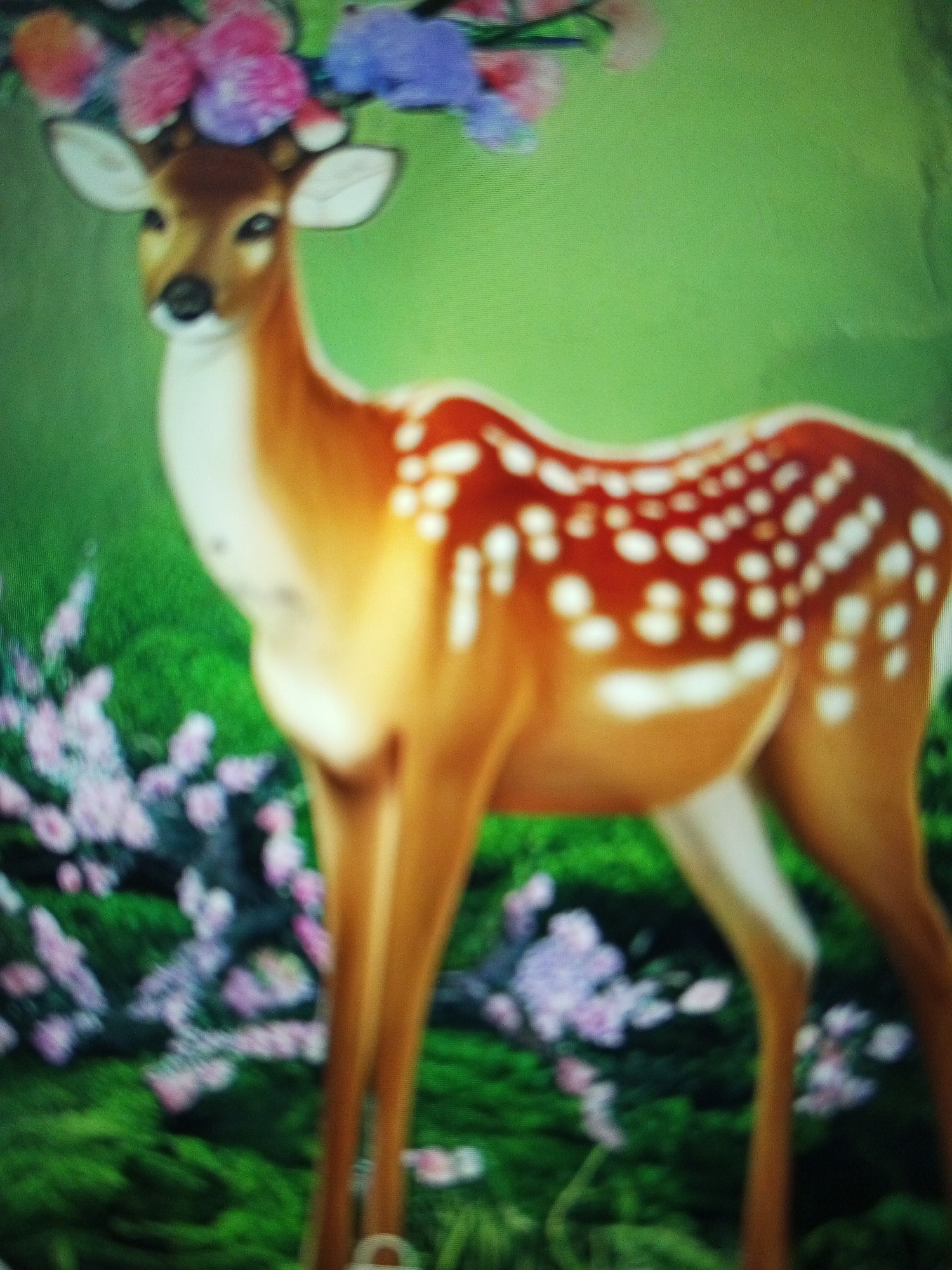 A blurry image shows a fawn standing in a green field with pink and purple flowers. The fawn has flowers on its head and white spots on its reddish-brown coat. The background is a muted green. The location is Tinaquillo, Venezuela.