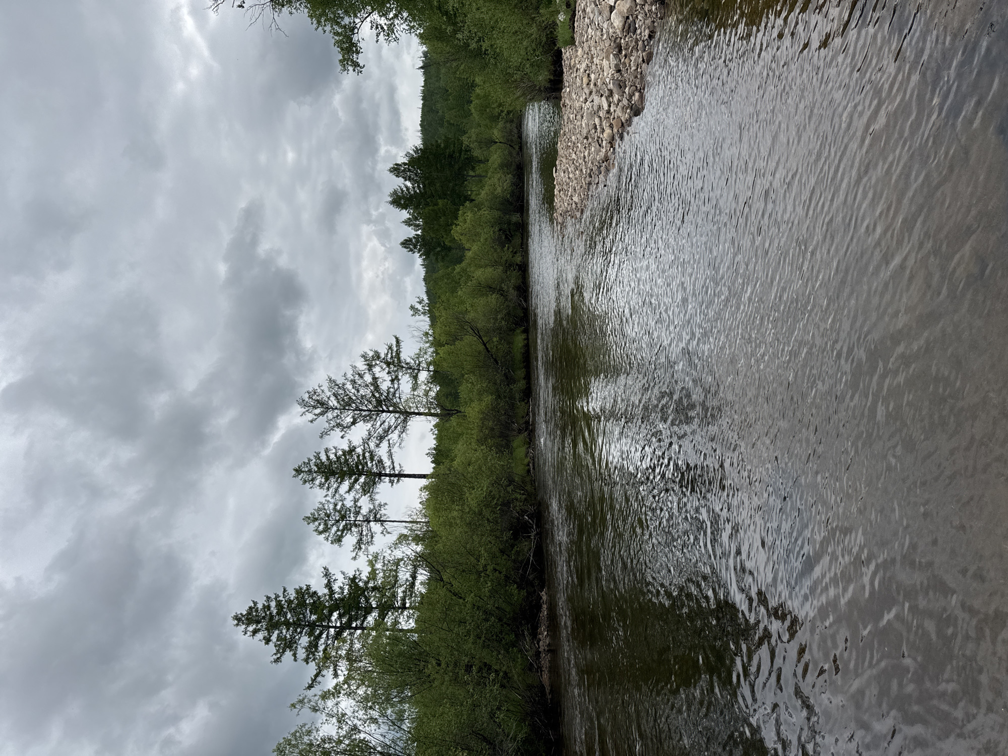 A wide, slow-moving river flows through a wooded area under a cloudy sky. The river's surface is rippled, reflecting the overcast sky and the surrounding greenery. The riverbanks are densely covered with lush green trees and bushes. On the right side of the river, a collection of rounded rocks forms a small embankment. The sky is filled with heavy, grey clouds, suggesting an impending rain or a generally overcast day. The scene is serene and natural, typical of a remote, forested landscape. The location is Murtygit, Russia.