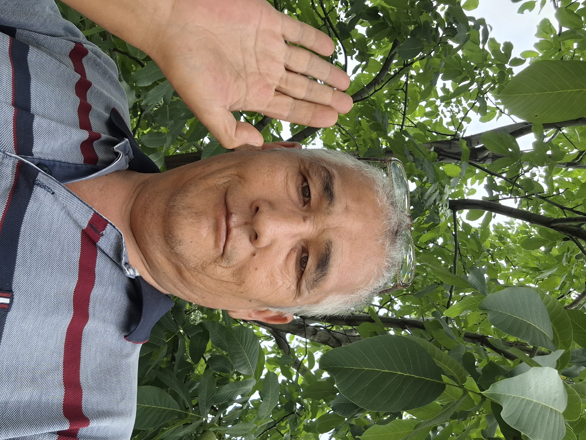 A man with graying hair and glasses perched on his head is taking a selfie outdoors. He is wearing a collared shirt with horizontal stripes of blue, gray, and maroon. His left hand is raised in front of his face, palm facing the camera. He is looking at the camera with a slight smile. Behind him, the branches and green leaves of a tree are visible against a bright sky. The setting appears to be a park or backyard, consistent with locations in Almaty, Kazakhstan, a city known for its abundant green spaces and mature trees.