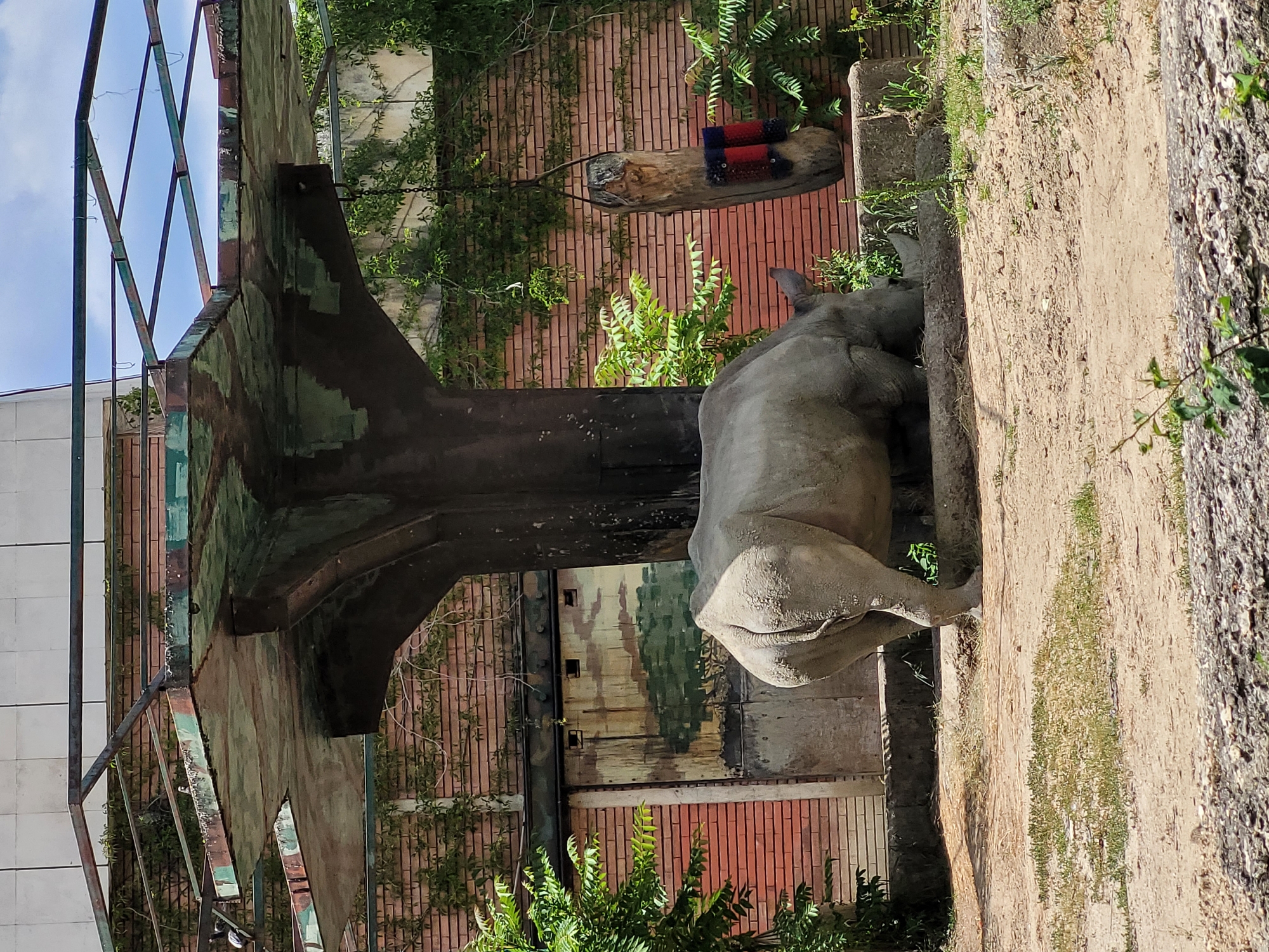 This is a photograph of a rhinoceros in what appears to be a zoo enclosure. The rhinoceros is facing away from the camera, with its hindquarters visible. It is a large, grey animal with thick skin. The enclosure has a rustic theme, with a brick wall in the background, bamboo-like fencing, and a log with some red and blue objects on it, possibly enrichment items for the animal. There are also some green plants and vines growing in the enclosure. To the left of the rhinoceros, there is a large, dark, structural element that looks like part of a building or exhibit. Above this structure, a blue sky with some clouds is visible, suggesting it is daytime and the weather is fair. The overall impression is that of an outdoor animal exhibit. There is no visible text in the image.