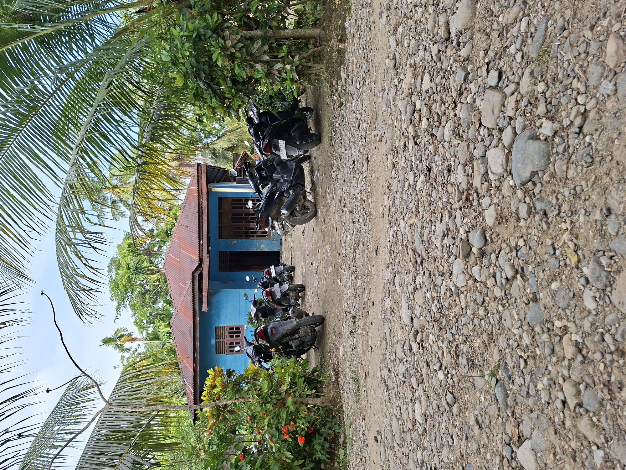 The image captures a static daytime scene in Meunasahreudeup, Indonesia, featuring a blue house with an orange/red corrugated metal roof. The house has several windows with wooden shutters and a dark-colored door. In front of the house, along a dirt and gravel path or road, several black motorbikes are parked. At least four motorbikes are visible, suggesting residents or visitors are nearby. One motorbike's license plate is partially visible, showing "BL 6401...".
The setting is semi-rural, characterized by lush tropical vegetation. Large palm fronds dominate the foreground and upper left, and various green trees and shrubs surround the house, including flowering bushes with red blooms near the bottom. The sky is bright blue, indicating clear weather. The ground is a mix of dirt and various-sized gravel. The overall impression is a quiet, sunny day in a tropical location. No people are visible, and no specific activity is taking place other than the static presence of the house and parked vehicles.