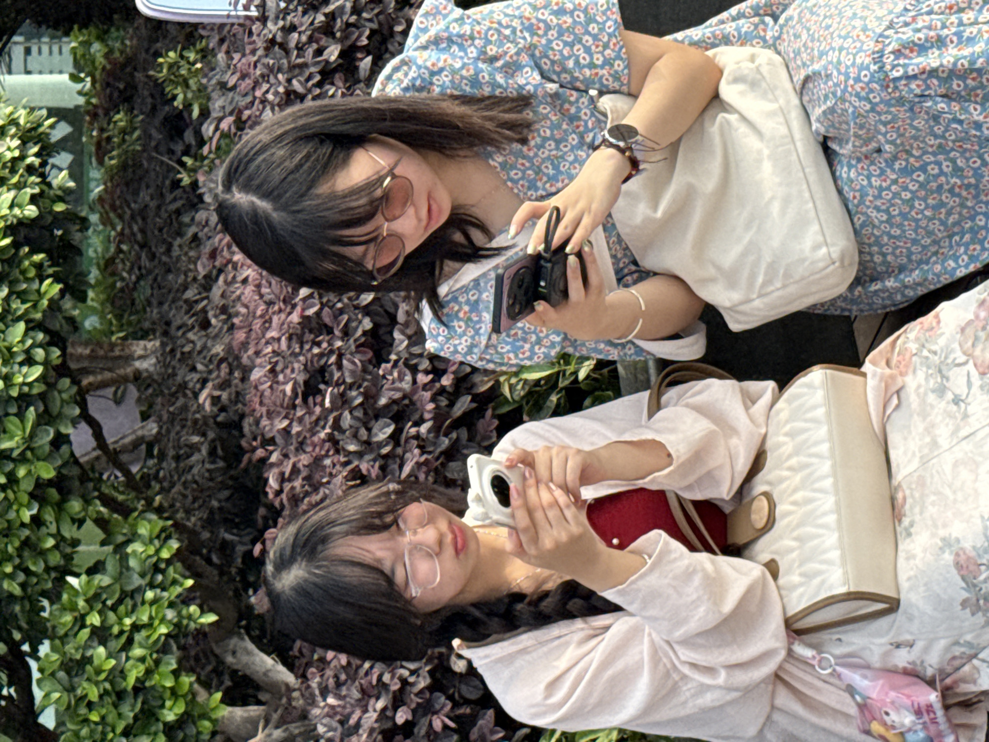 Two young women are sitting outdoors, likely in a park or garden, as indicated by the presence of greenery. The woman at the top of the image is holding a camera and appears to be taking a photograph, possibly of the woman below her or the surrounding environment. She is wearing sunglasses, a watch, a patterned blue and white dress, and has a white bag next to her. The other woman is also holding a camera, possibly taking a photograph of something in front of her. She wears glasses and a light-colored top, with a red garment visible underneath, and has a white bag nearby. Both women are sitting amidst plants with dark foliage, providing a backdrop to the scene. Based on the evidence, it is not possible to ascertain whether this image was taken in Yuzhong District, China.