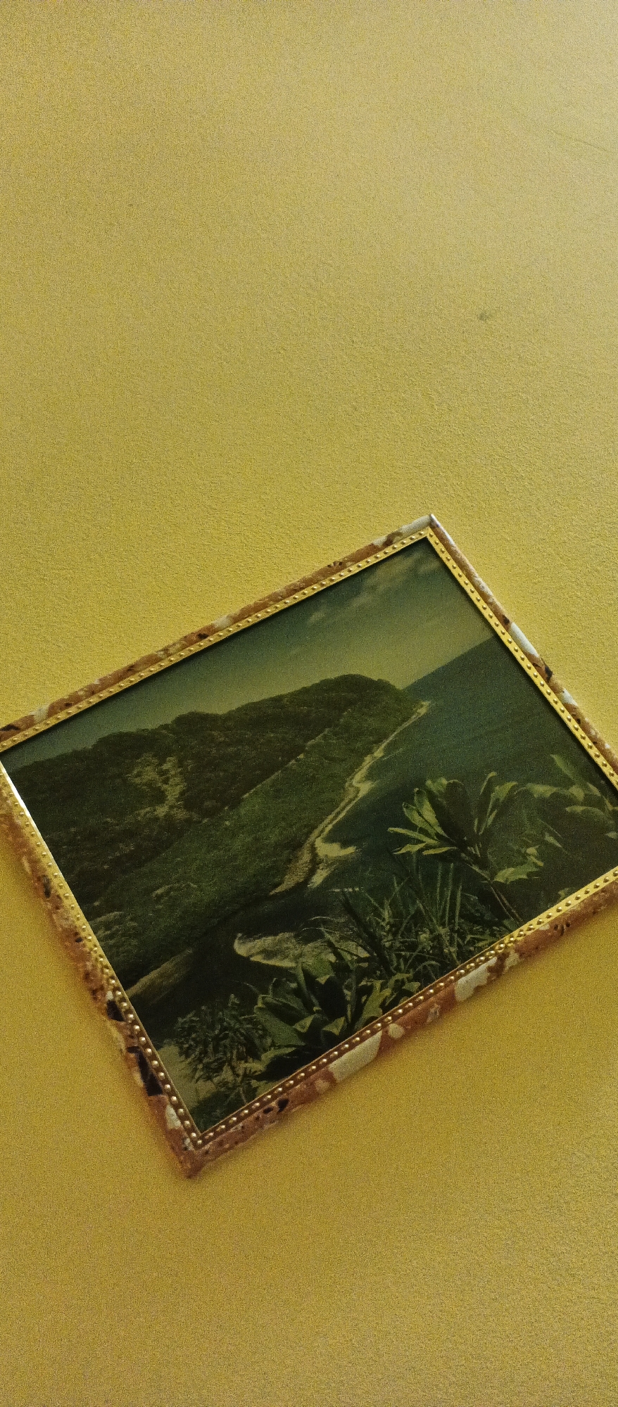 A framed picture of a lush green mountainous landscape with a winding road is displayed on a textured yellow wall. The picture is hung at an angle, with the top left corner higher than the bottom right. The frame is gold with a speckled pattern along its edge. The image itself depicts rolling hills covered in dense vegetation, possibly trees, with a visible road or path snaking its way through the terrain. In the foreground of the picture, there are some large green leaves and foliage, suggesting a tropical or sub-tropical environment. The background shows more hills fading into a hazy sky, with hints of clouds. The wall's yellow color is consistent throughout the visible area, showing a slightly rough, stucco-like texture. The scene appears to be an interior shot, likely a room in a residential or public building in Berehove, Ukraine. There are no people or any discernible activity within the frame.