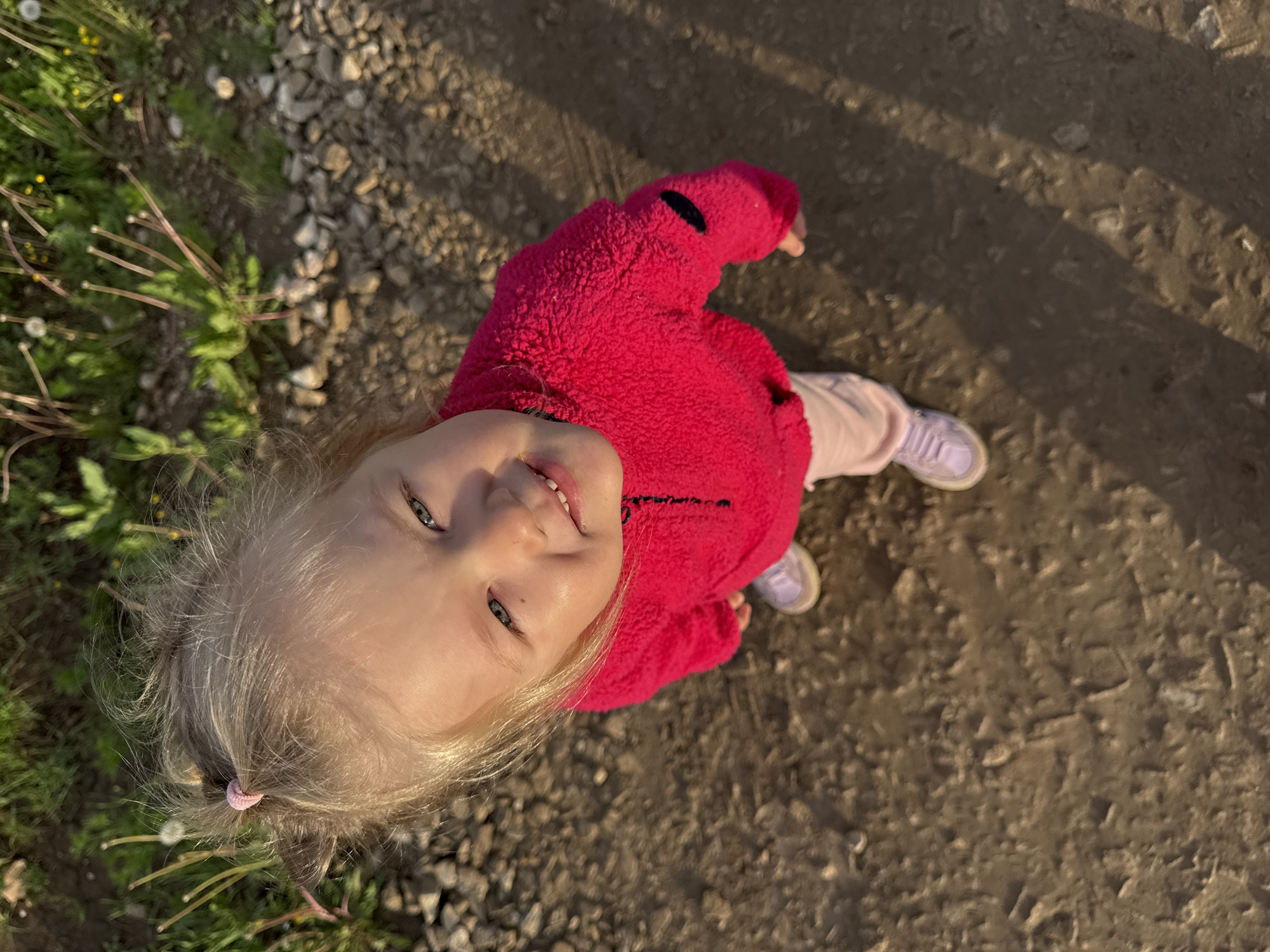A young, light-haired toddler, appearing approximately 1-3 years old, is depicted in a high-angle shot, looking directly upwards towards the camera with a slight smile. The child has blond hair, pulled back into a small, messy ponytail on top of the head with a pink elastic band, and blue eyes. A small dark mole is visible below the child's right eye.
The child is wearing a bright fuchsia-colored, textured fleece-like long-sleeved top with a black quarter-zip closure and a small black patch on the right sleeve. Below, light pink or off-white pants are visible, along with light purple/lavender sneakers featuring white soles.
The child stands on an unpaved, irregular surface consisting of light brown dirt mixed with varying sizes of light gray gravel. Patches of darker, possibly damp earth or tire tracks are also visible on the ground. Strong, directional sunlight from the upper right (relative to the child's perspective) casts long, distinct shadows of the child onto the ground towards the lower left.
In the background, beyond the immediate path, is an area of green grass interspersed with dandelions (some in seed-head form, others with yellow petals) and other small plants. The scene is outdoors, situated in Ферма, Russia.