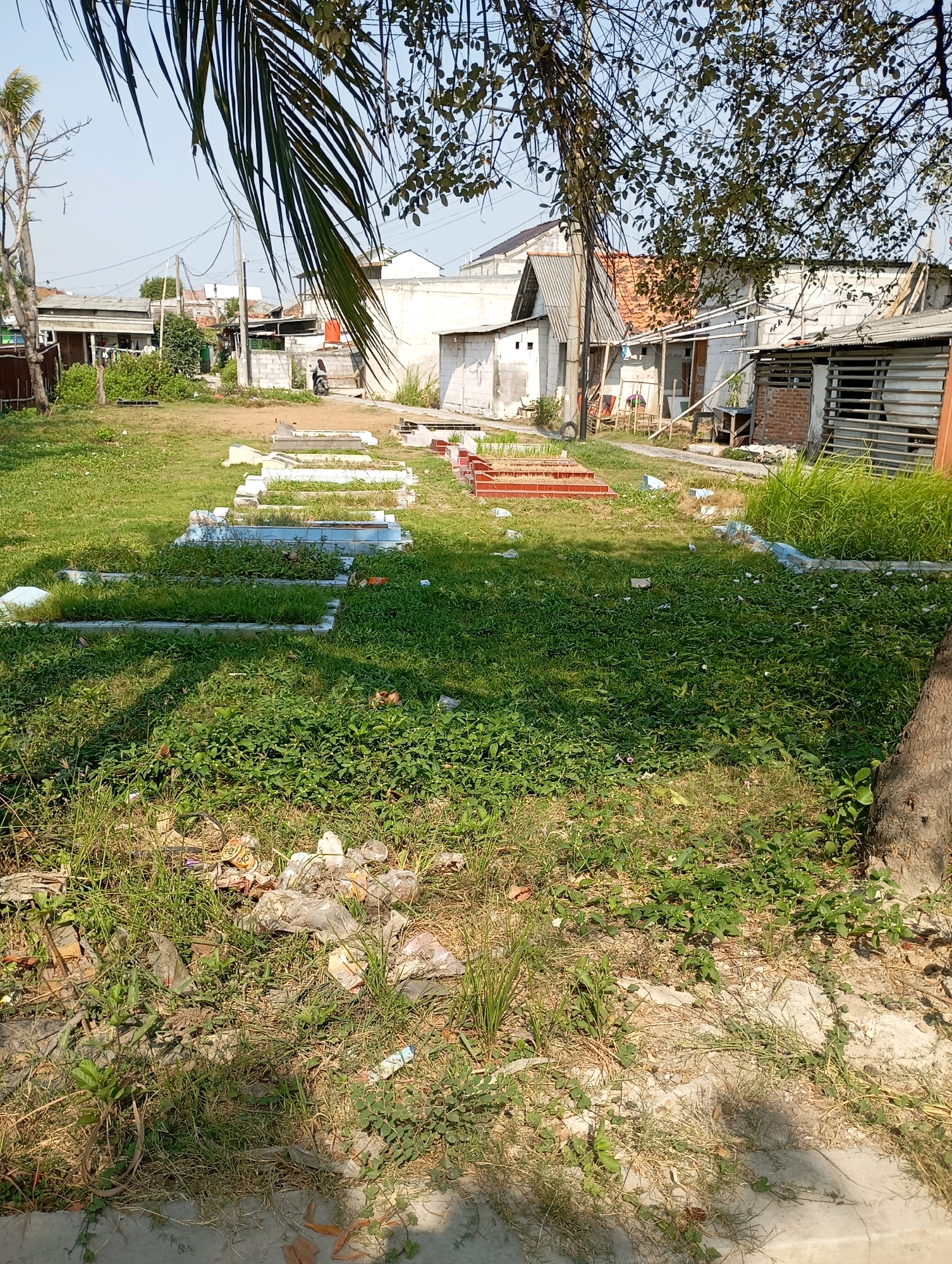The image depicts an outdoor scene in Babelan, Indonesia, likely a cemetery or an area with graves. In the foreground, the ground is covered in overgrown green grass and some dry patches, with scattered litter including plastic bags and bottles. Several concrete grave markers, some with white ceramic tops, are visible throughout the grassy area. In the mid-ground, there are more grave markers and some reddish-brown rectangular structures, possibly also related to burials. Behind the graves, there are several buildings with corrugated metal roofs and white or concrete walls, suggesting a residential or community area adjacent to the burial ground. A palm frond from a tree hangs over the top of the image, casting shadows. A person on a motorcycle is visible in the distance, near one of the buildings. The overall impression is one of a somewhat neglected outdoor space with signs of ongoing activity or habitation nearby.
