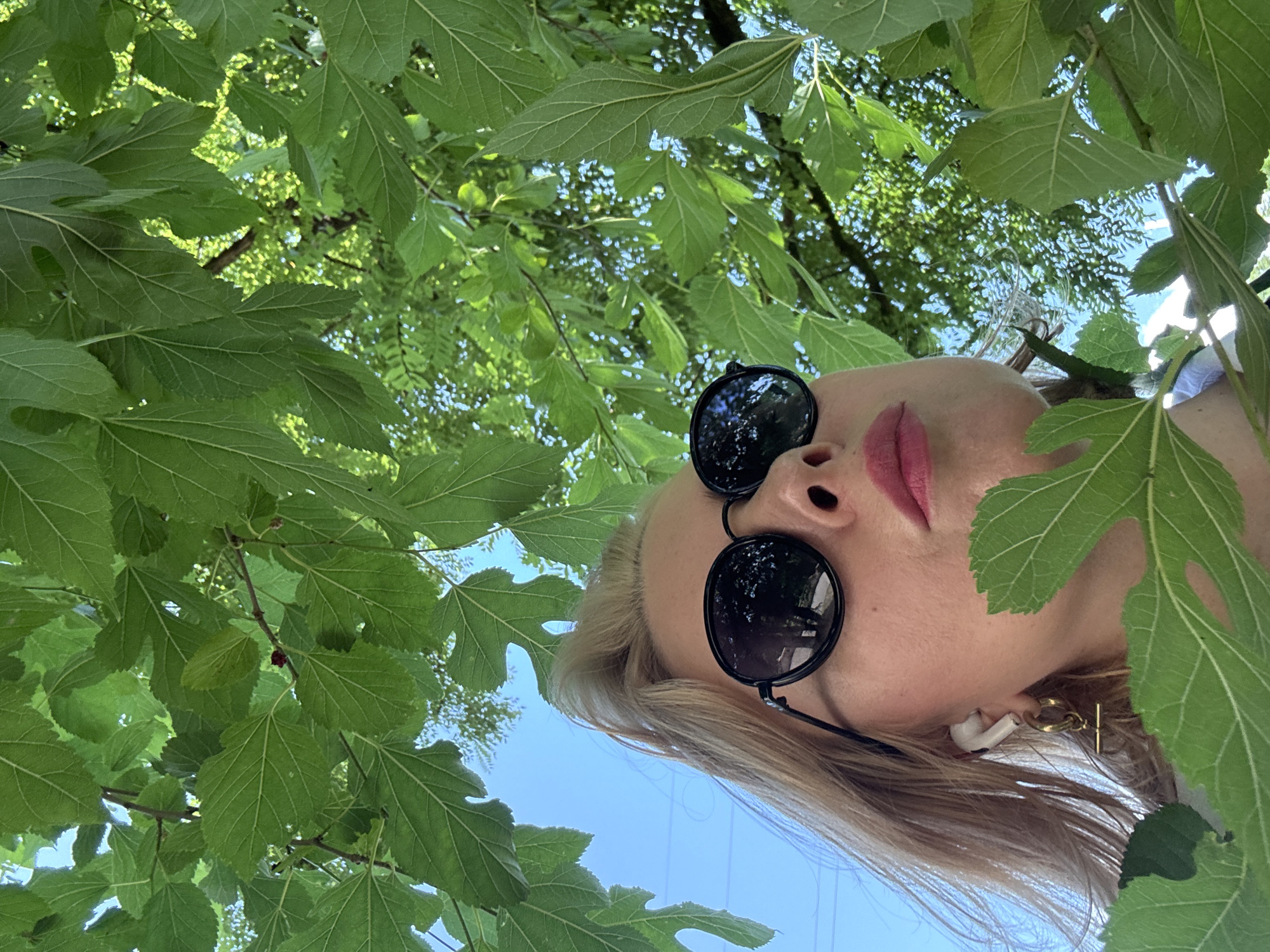 The image captures a close-up, low-angle shot of a woman looking upwards from beneath the canopy of green leaves. She has blonde hair, wears round, dark-rimmed sunglasses, and has pink lipstick on. A white wireless earbud is visible in her left ear, with a gold earring featuring a bar-shaped pendant. The background shows a bright blue sky interspersed with more green foliage and hints of sunlight filtering through. The scene appears to be outdoors, in a location with abundant trees. There is no visual information within the image that suggests the specific location is the city of Sochi, Russia.
