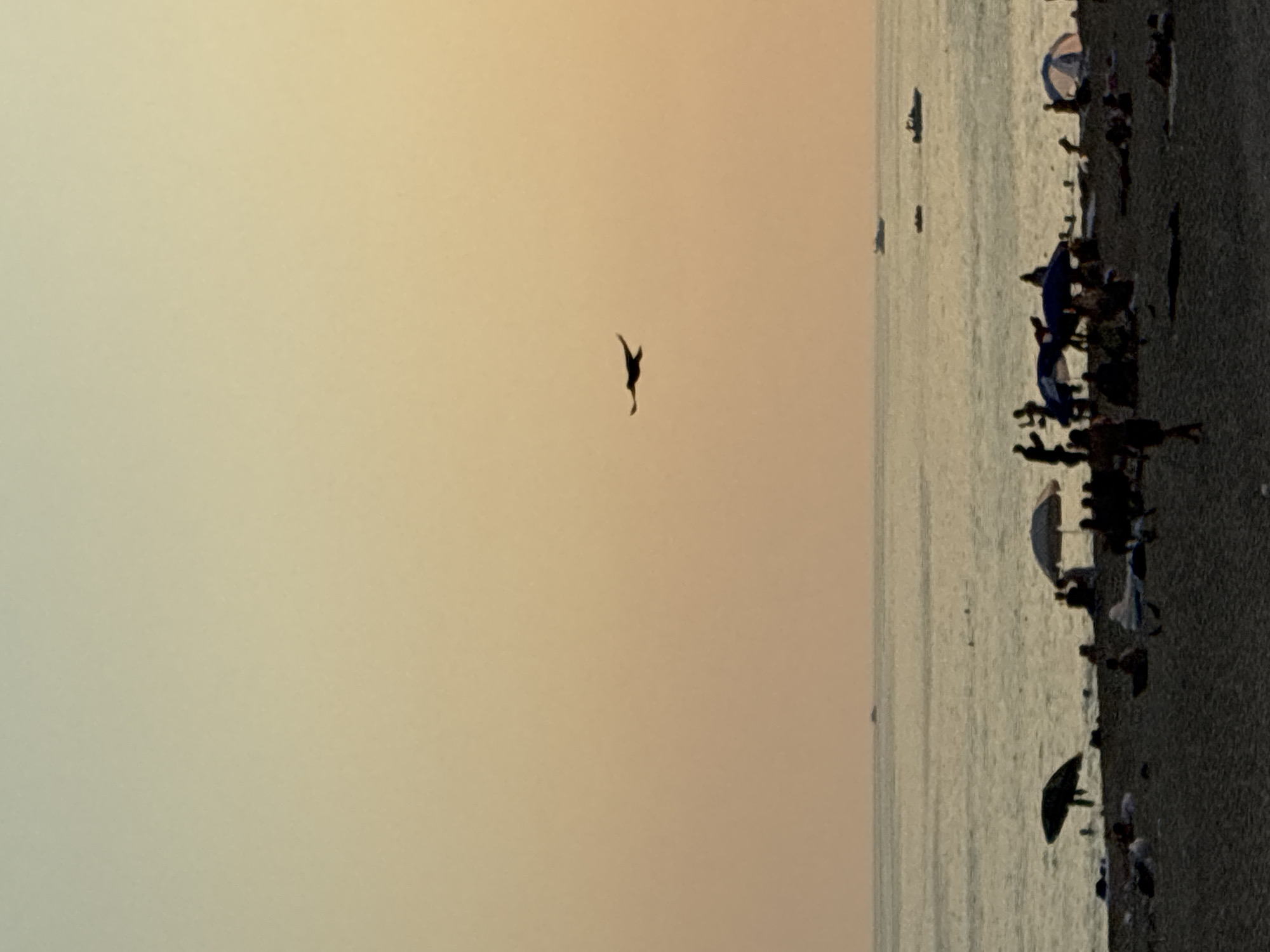 The image depicts a beach scene at sunset, likely in Alanya, Turkey, characterized by its warm, soft lighting and the tranquil atmosphere of the Mediterranean coast. The sky exhibits a gradient of pale yellow to soft orange, indicating the sun is near the horizon. A solitary bird is silhouetted against the sky, its wings outstretched in flight. The sea is calm with gentle waves, and several small boats are visible on the water, suggesting recreational activity. The foreground is occupied by a sandy beach populated by numerous beachgoers. Silhouettes of people can be seen relaxing under umbrellas, walking along the shore, and engaging in various leisure activities. The presence of beach umbrellas further emphasizes the seaside resort setting.