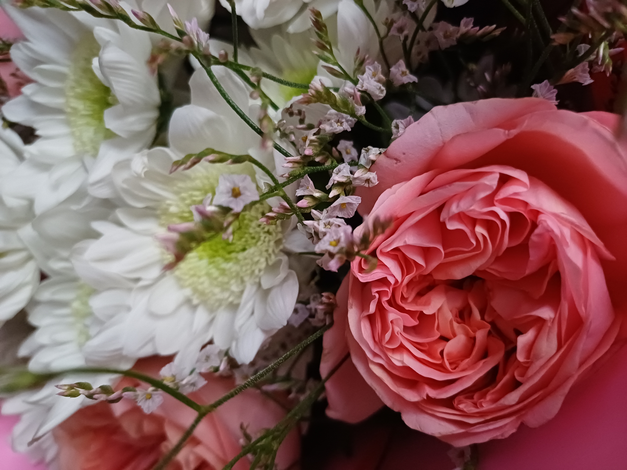 This media file is a close-up, eye-level shot of a bouquet of flowers. The primary subjects are a large, vibrant pink rose in the foreground and several white chrysanthemums in the background. The rose is fully bloomed, with many delicate petals forming a swirling pattern towards its center. The chrysanthemums are also open, with numerous white petals fanning outwards from a pale green center. Scattered among the larger flowers are small clusters of tiny, pale pink flowers and delicate green stems. The lighting appears soft and natural, suggesting it might be daytime, possibly indoors given the lack of strong shadows or outdoor environmental cues. The overall mood conveyed by the flowers is one of beauty and freshness. There is no visible text in the image. The focus is entirely on the intricate details and textures of the floral arrangement.