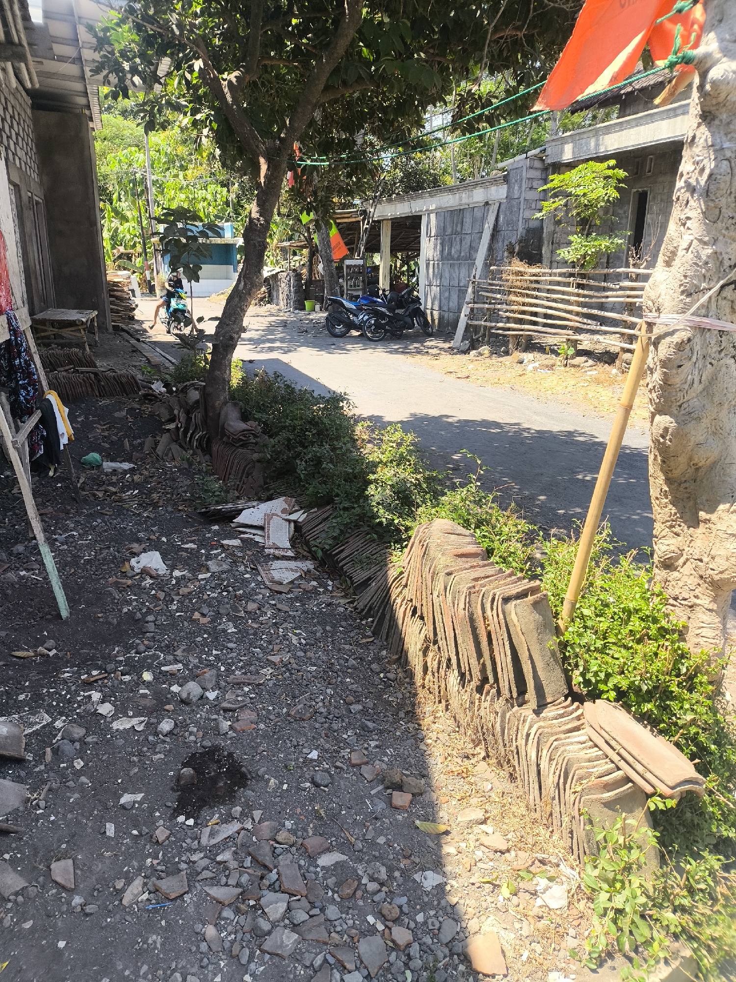 The image depicts a street scene in Kebonsari, Indonesia, with a narrow, paved road running through a densely vegetated area lined with residential structures. On the left side of the road, a house with a concrete exterior is visible, with laundry hanging on a makeshift clothesline supported by wooden poles. Piles of broken roofing tiles and debris are scattered on the ground along the edge of the property. A person is riding a motorcycle on the road, heading towards the background.
On the right side of the road, another house with a gray concrete facade and a wooden fence is present. A stack of terracotta roofing tiles is neatly arranged along the base of the fence. Lush green foliage and a large tree with a rough, textured trunk are prominent features in the foreground and midground. An orange flag attached to a string is visible, fluttering in the breeze. The overall environment suggests a rural or semi-urban setting with a noticeable amount of construction materials and debris on the ground. The lighting indicates it is daytime, with shadows cast by the trees and structures.