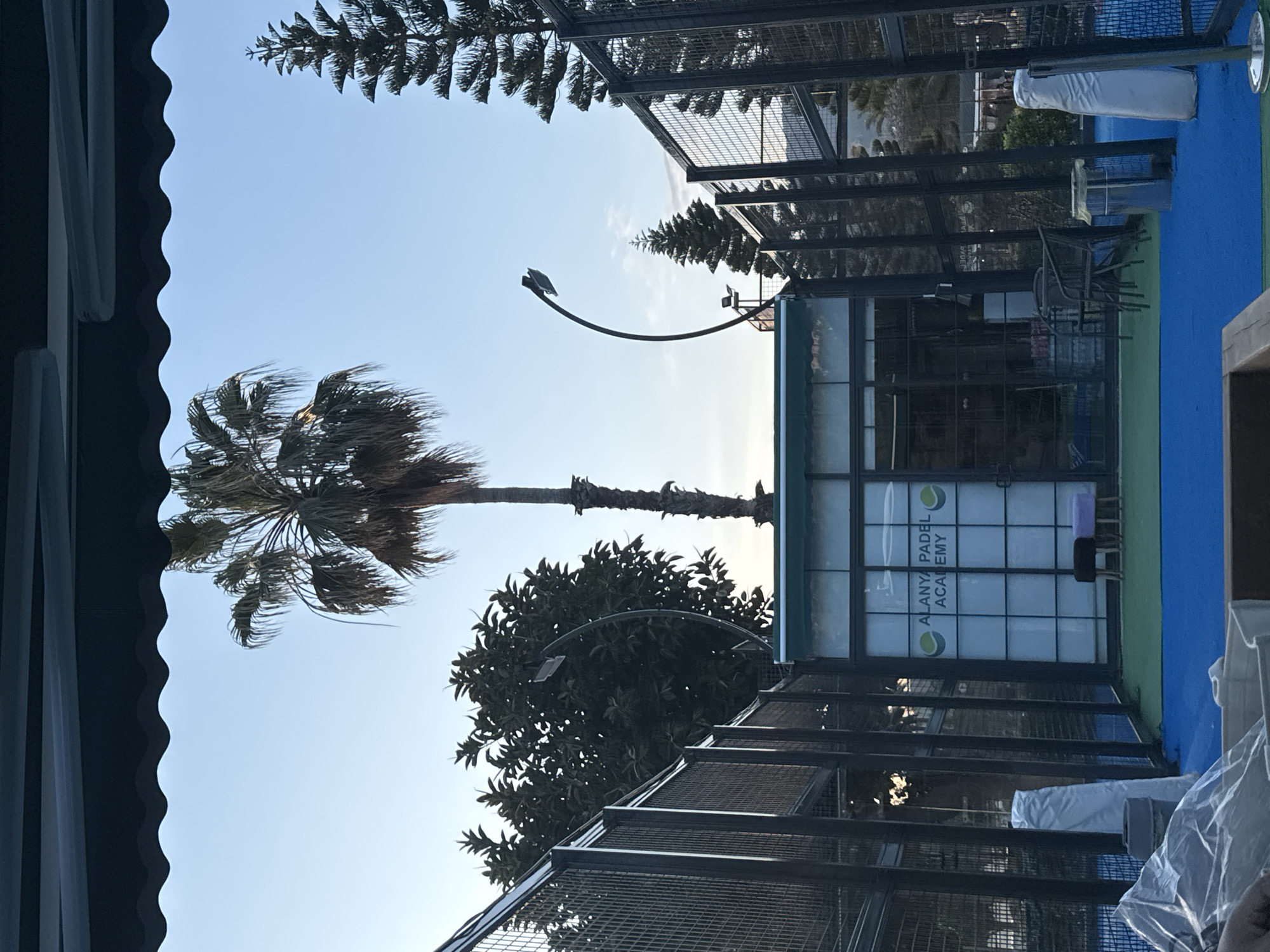 The image shows an outdoor setting, likely in a warm climate, suggested by the presence of a palm tree in the left side of the frame. The sky is light blue, and partially obscured by the canopy of the palm tree. A curved street lamp is visible in the middle of the frame. To the right, there is a building with a sign that reads "ALANYA PADEL ACADEMY". The building has windows covered with what appear to be advertising or informational graphics. The ground is mostly covered by blue and green turf. A metal fence structure is also visible, adding to the perimeter of the enclosure.