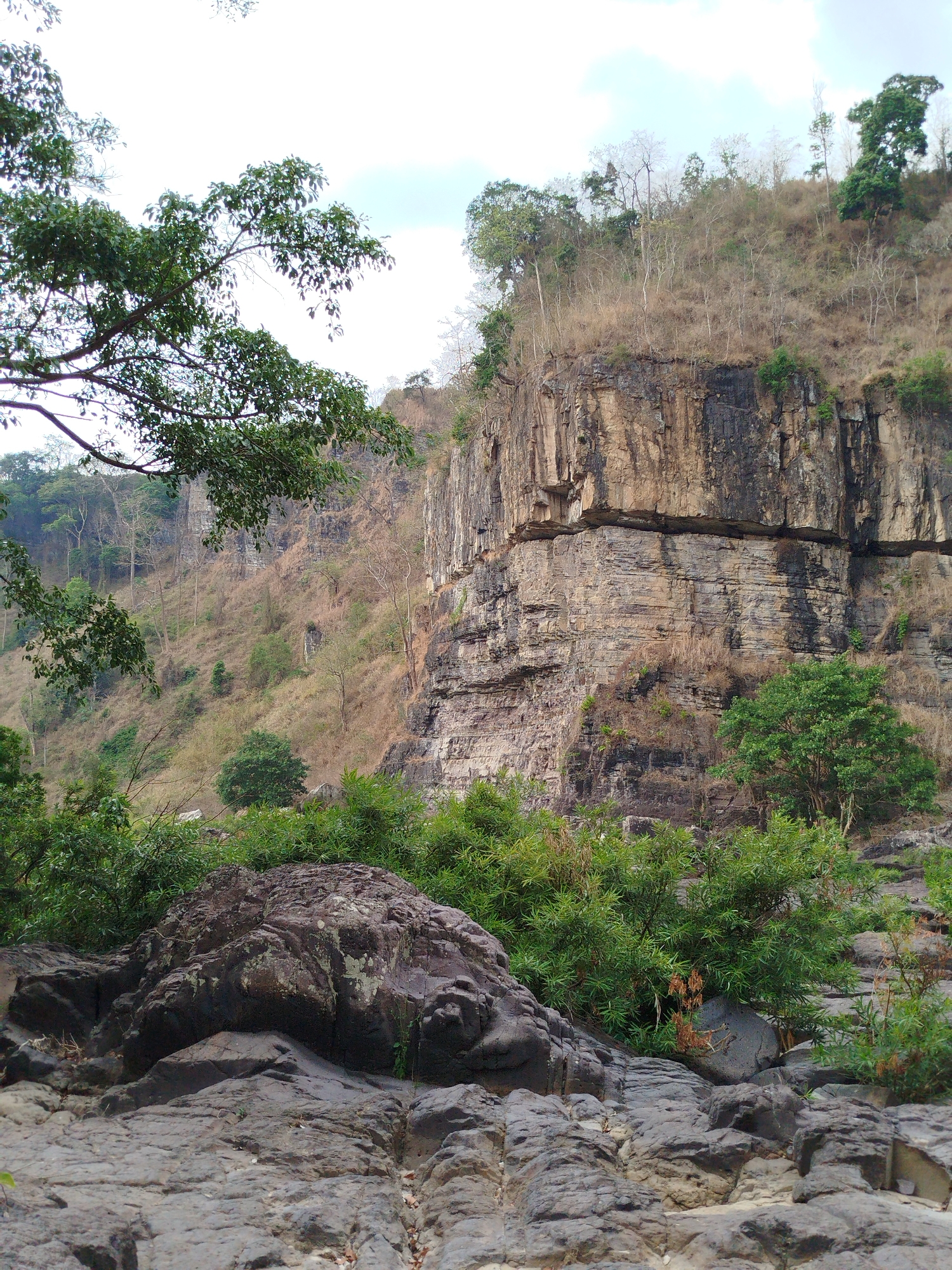 The image depicts a rocky landscape with a large cliff face in Tân Phú, Vietnam. The cliff is composed of layered rock formations and is partially covered with vegetation. In the foreground, there are large boulders and shrubs. Some trees are visible in the background on the hillside above the cliff. The sky is partially cloudy.