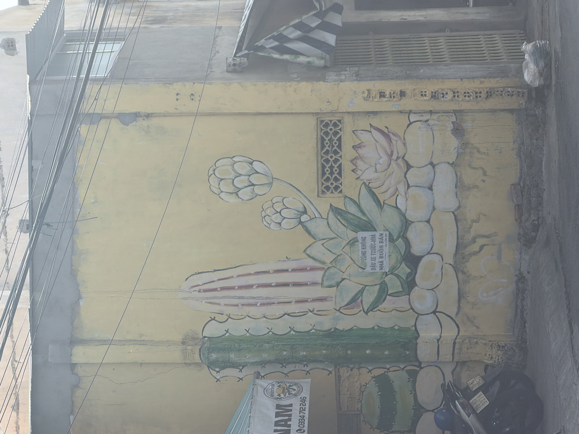 The image shows a mural painted on the yellow wall of a building in Nha Trang Ward, Vietnam. The mural depicts various desert plants, including cacti and succulents. In the foreground, a motorcycle is parked on the street. To the left of the mural, a white banner with Vietnamese text and a logo is attached to the building. To the right, a checkered flag is visible hanging from an awning. The overall scene suggests a street view in a Vietnamese city, with elements of local culture and everyday life.