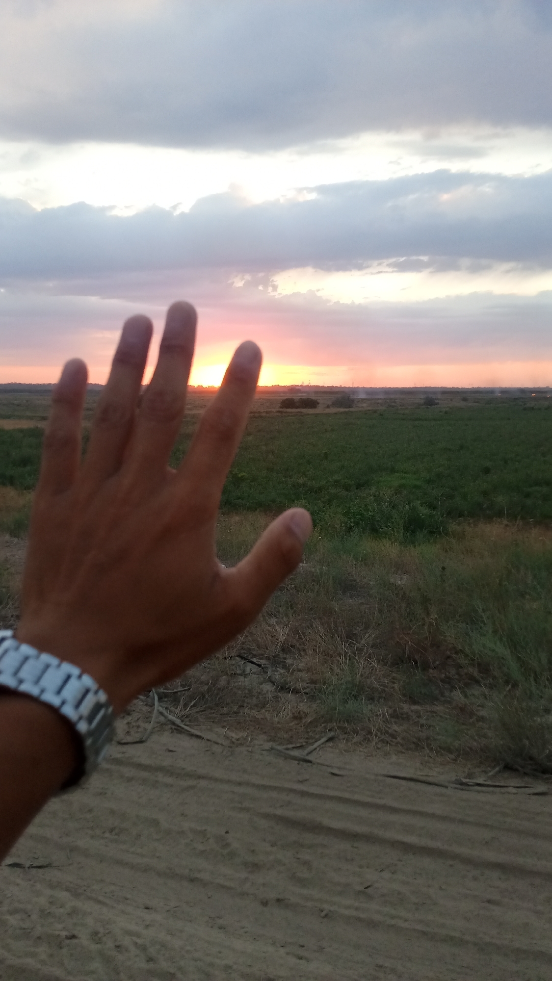 A hand wearing a silver watch is extended towards the viewer, obscuring a sunset over a rural landscape. The sky is filled with clouds tinged with the orange and pink hues of the setting sun. Below the sky, a flat expanse of green fields stretches to the horizon, dotted with distant trees and structures. The foreground features a dirt road with tire tracks, bordered by dry grass and brush. The image appears to be taken in Novyy Put, Kazakhstan, given the characteristic flat terrain and vegetation common to the region.