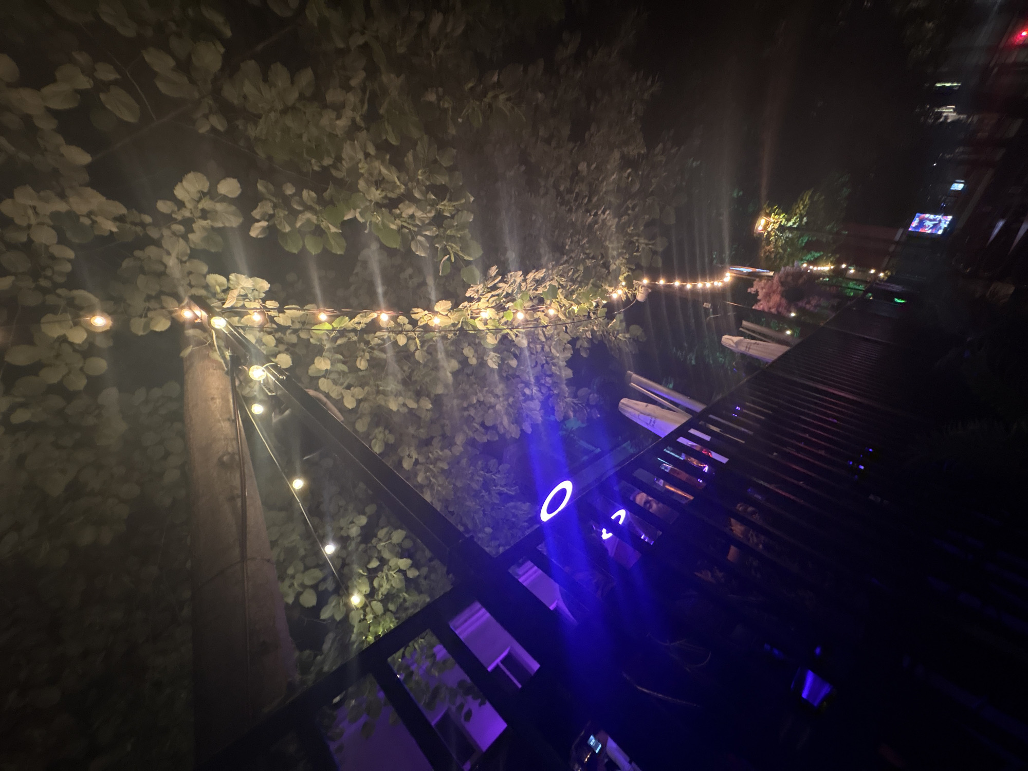 This nighttime photograph, taken in Sofia, Bulgaria, captures an outdoor scene, likely a patio or garden area of a restaurant or bar. The image is dominated by lush green foliage from trees, softly illuminated by warm white string lights strung overhead. A sturdy wooden pole, prominent on the left, supports a section of these lights.
In the foreground, a dark metal railing runs diagonally, hinting at a balcony or raised deck. A striking blue glowing ring, possibly a neon or LED light fixture, emits a vibrant blue light onto the railing. Below this blue light, within the reflective surfaces of the dark railing slats, a faint but discernible reflection resembling a human face can be seen, suggesting the presence of an observer or patron.
Beyond the immediate foliage and railing, several light-colored objects that appear to be covered boats or canoes are visible in the middle ground, indicating a potential location near water or a watercraft storage area. In the distance, various lights from other structures are visible, including a building with a brightly lit screen displaying colorful, unidentifiable content.
The scene conveys a relaxed and ambient atmosphere, typical of an evening social gathering. The time of day is clearly night, and the weather appears calm and clear. No visible text is clearly legible within the image.