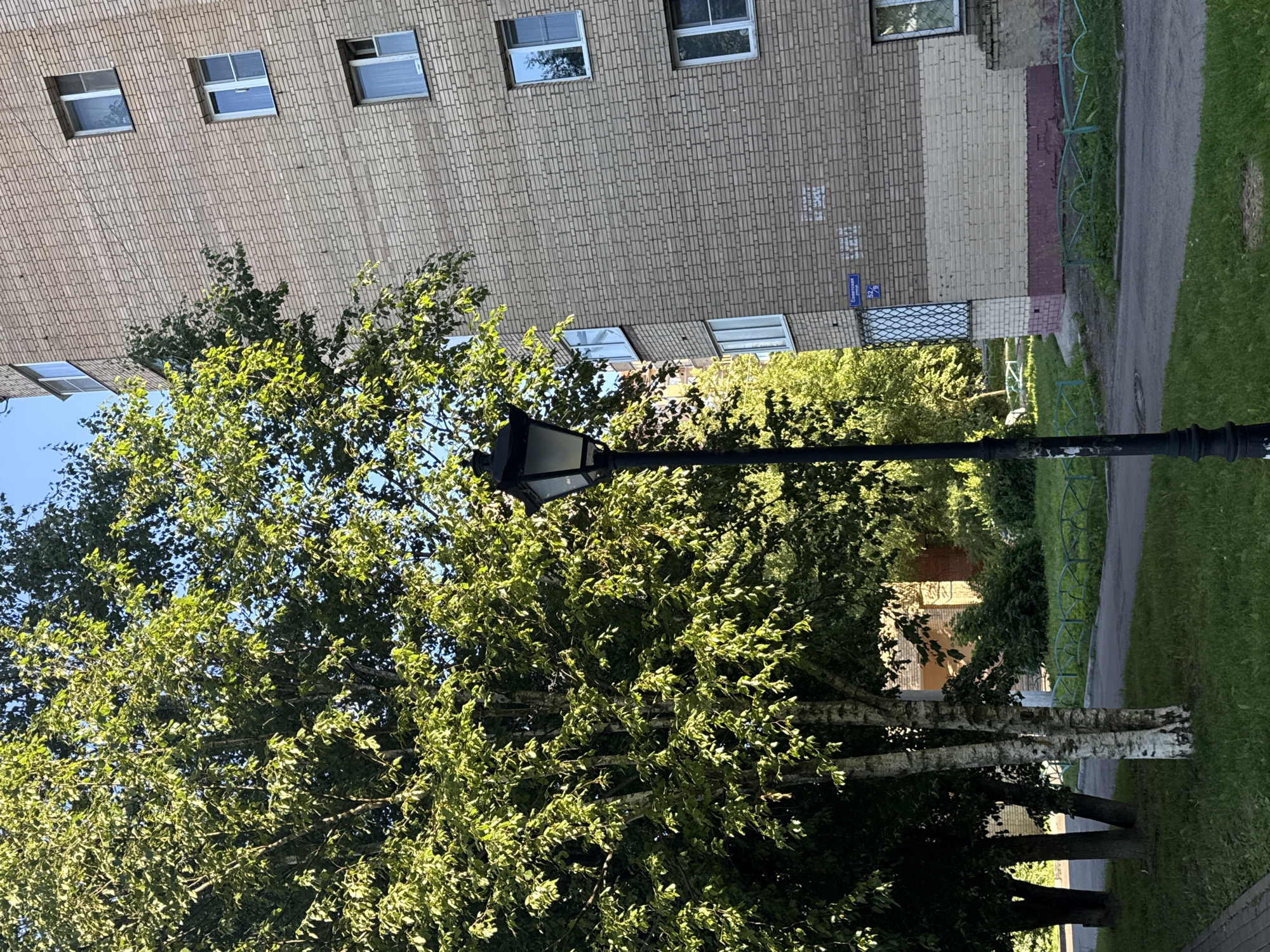 The image captures a view of an apartment building and surrounding greenery in Golitsyno, Russia. The building is constructed with light-colored bricks, featuring multiple windows with white frames. Some of the windows appear to be open. A street lamp with a dark, ornate base and a black lantern is visible in the foreground, partially obscured by lush green trees. The trees have dense foliage, with sunlight filtering through the leaves, suggesting it's daytime. The scene also includes a paved pathway and a patch of green grass, separated by a light green metal fence with a curved design. A blue street sign with white lettering is affixed to the building, though the text is partially obscured. The overall impression is a residential urban setting with elements of nature.