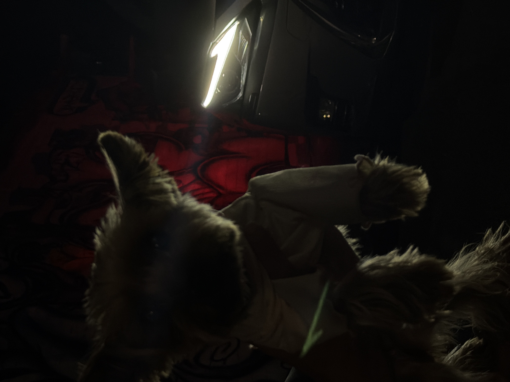 The image depicts a plush toy dog wearing a light-colored garment with furry trim. The toy is held in a way that its head and upper body are prominently in the foreground, with its face obscured by shadow, though its eyes are faintly visible. The background is dark and features red and black graffiti on a wall. To the right of the toy, the headlights of a modern car are illuminated, casting a bright white glow. The car appears to be parked, and its sleek design is partially visible. The scene is lit with a combination of ambient light, the car's headlights, and possibly some artificial lighting illuminating the graffiti. The overall impression is of an urban setting at night, possibly in an alleyway or parking area. The location is specified as the city of Warsaw, Poland.