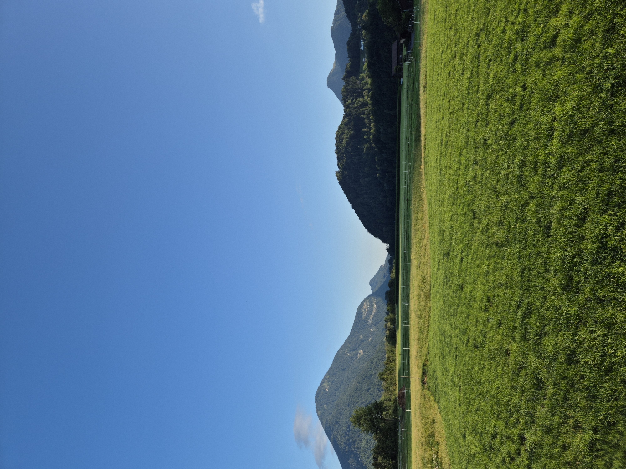 A landscape photograph captures a rural scene in Niederndorf, Austria, under a clear blue sky. The foreground is dominated by a vibrant green grassy field, its texture detailed and rich. Beyond the field, a white fence delineates a pathway or enclosure, with another field of drier, golden grass behind it. In the middle ground, a dark line of trees stretches across the horizon, providing a stark contrast to the open fields.
Further back, a series of rolling hills and mountains rise, their slopes covered in dense green forests. The largest mountain, on the left, is conical and imposing, its peak partially obscured by a wispy white cloud. On the right, a darker, more rugged mountain range recedes into the distance, with a hint of a village or settlement nestled within its foothills. Two small buildings, possibly farmhouses or sheds, are visible in the middle ground, one to the left and another to the right, near the treeline. The overall impression is one of serene, natural beauty.
