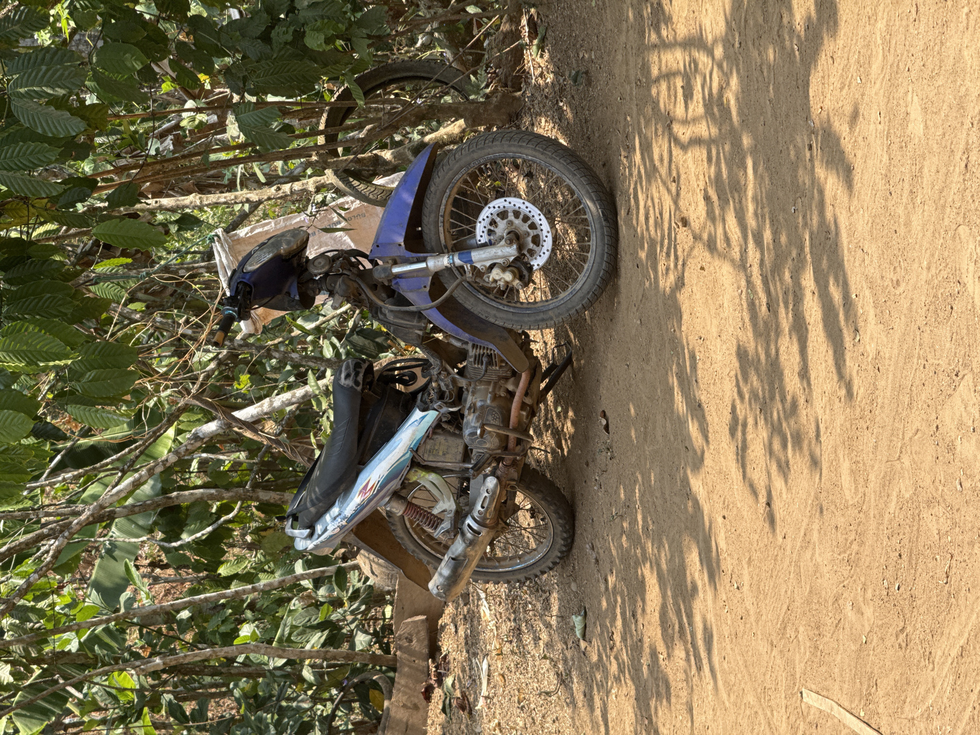 A blue and silver motorcycle is parked on a dirt path in front of dense vegetation in Slahung, Indonesia. The motorcycle is weathered, with visible rust on its engine and exhaust pipe. It has a black seat and a blue front fairing. The surrounding environment consists of a dry, sandy ground with scattered leaves and fallen branches. In the background, numerous trees and green foliage create a dense, natural setting. The sun casts shadows of the trees onto the ground. The image appears to be a still photograph taken during daylight hours.