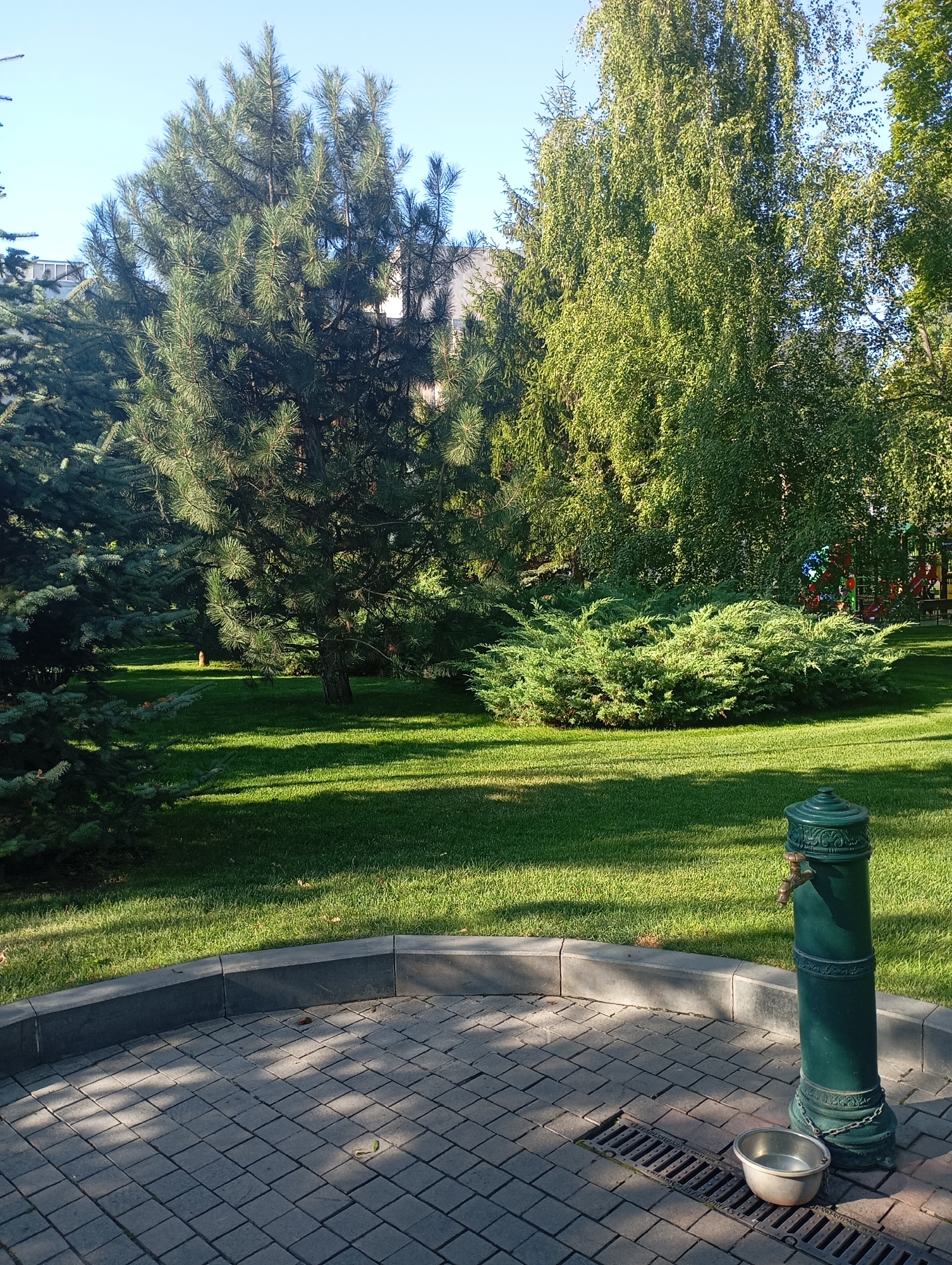 A park scene in Kharkiv, Ukraine, shows a paved area with a dark grey border leading to a manicured lawn. In the foreground, a green drinking fountain with a brass tap stands on the pavement, with a metal bowl chained to its base. A drain grate is also visible on the pavement. The lawn is lush and green, with dappled sunlight casting shadows from trees. In the midground, a large, dense green shrub sits on the lawn. Further back, mature pine trees and a tall birch tree with cascading branches dominate the landscape, their foliage casting further shade. In the far background, a building is partially visible through the trees, and a playground structure with colorful elements can be seen to the right. The sky above is clear and blue.
