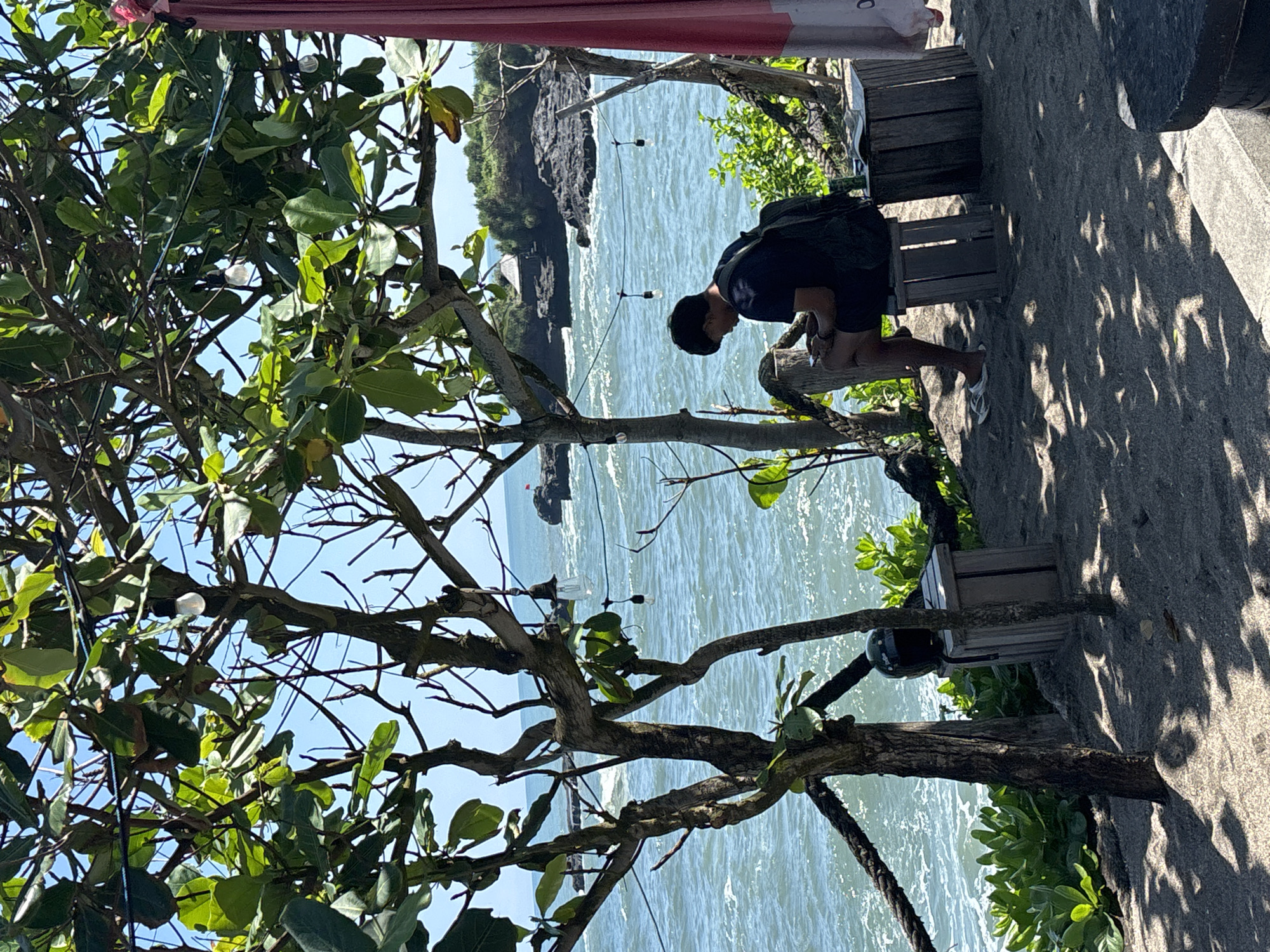 The image shows a person sitting on a wooden bench overlooking a body of water with an island or landmass in the distance. The scene is partially framed by trees and foliage. The presence of a curtain suggests a semi-enclosed area. The setting is Mengwi, Indonesia. The person is likely engaging in a solitary activity, possibly writing or observing the scenery. The location is on a raised platform with a stone floor. A string of decorative lights is visible within the branches.