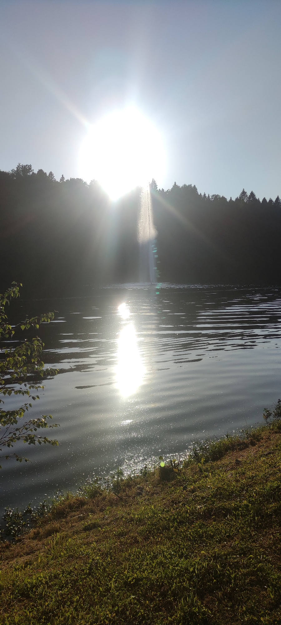 The image captures a sun-drenched outdoor scene on the lake in Rosinka, Russia. The bright sun is positioned high in the sky, partially obscured by a large plume of water from a fountain. Sunlight glints off the rippling surface of the lake, creating a dazzling effect. A dense line of trees forms the background, silhouetted against the bright sky. The foreground shows a grassy embankment leading down to the water's edge.