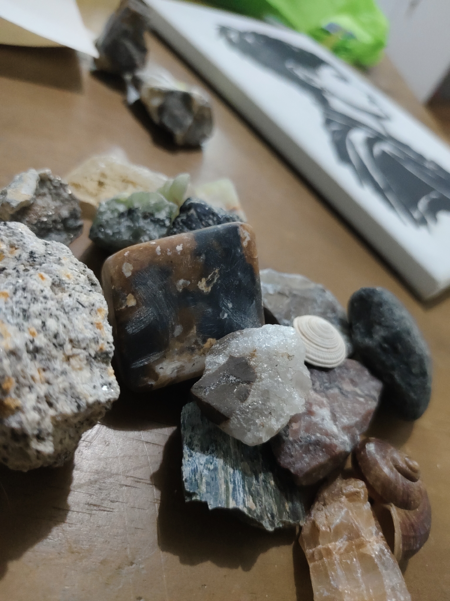 The image displays a collection of geological samples and marine shells resting on a light brown wooden surface in an indoor setting within the city of Unknown, Unknown. The foreground is dominated by various rocks and minerals, showcasing a range of textures and colors.
From the left, a large, light grey and white rough rock with visible crystalline grains, possibly granite, speckled with dark inclusions and hints of orange-brown, occupies the lower left. Adjacent to it and towards the center are several smaller, irregularly shaped rocks, some dark grey, others exhibiting light green tints. Centrally positioned is a distinct, dark brown and black polished or naturally smooth stone with irregular white and tan veins, shaped somewhat like a rounded rectangle. To its right, a small, light cream-colored, ridged conical seashell is visible.
Further to the right and bottom, the collection includes more rough rocks, some with a reddish-brown hue, others appearing clear and crystalline, likely quartz. A flat, blue-green, fibrous or layered mineral specimen is present near the bottom center. Towards the bottom right, multiple spiral seashells, predominantly light to medium brown, are partially visible, one appearing eroded or broken. A yellowish translucent crystalline rock is also present in this area.
The wooden surface beneath the collection exhibits faint linear scratch marks or wood grain patterns. Shadows cast by the objects suggest a light source from the upper left, illuminating the scene and creating contrast.
In the background, out of focus, several objects are discernible. To the upper left, a blurred white or light-colored object, possibly a piece of paper or fabric, is visible. To the upper right, a heavily blurred green object, possibly a plastic bag or soft material, is present. Diagonally positioned in the mid-right background is a blurred white, rectangular object, consistent with a canvas or a book. A dark, stylized drawing or print, appearing to depict a person with dark hair and clothing, is visible on its surface.