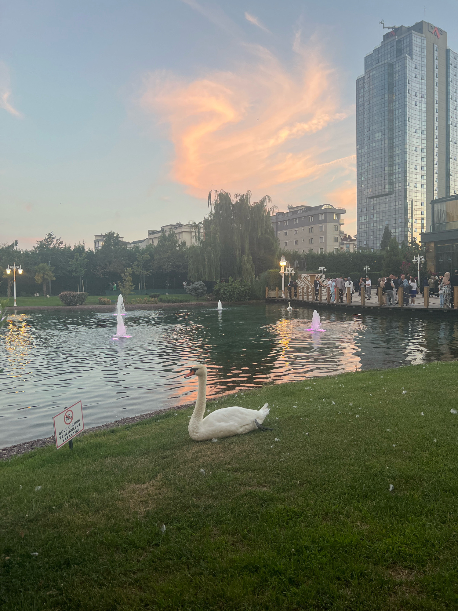 This is a photograph taken at Maltepe Orhangazi City Park in Maltepe, Turkey. The scene depicts a body of water with several fountains spraying pink water. A white swan is resting on the grassy bank in the foreground, to the right of the frame. In the middle ground, a wooden boardwalk extends over the water, with a group of people standing on it. Behind the boardwalk, trees line the park. In the background, several multi-story buildings, including a tall glass-fronted skyscraper, are visible. The sky above is a pale blue with soft, orange-tinted clouds, suggesting it is either sunrise or sunset. A sign near the swan reads "GÖLE GİRMEK TEHLİKELİ VE YASAKTİR," which translates to "Entering the lake is dangerous and forbidden." The overall atmosphere is serene and picturesque.