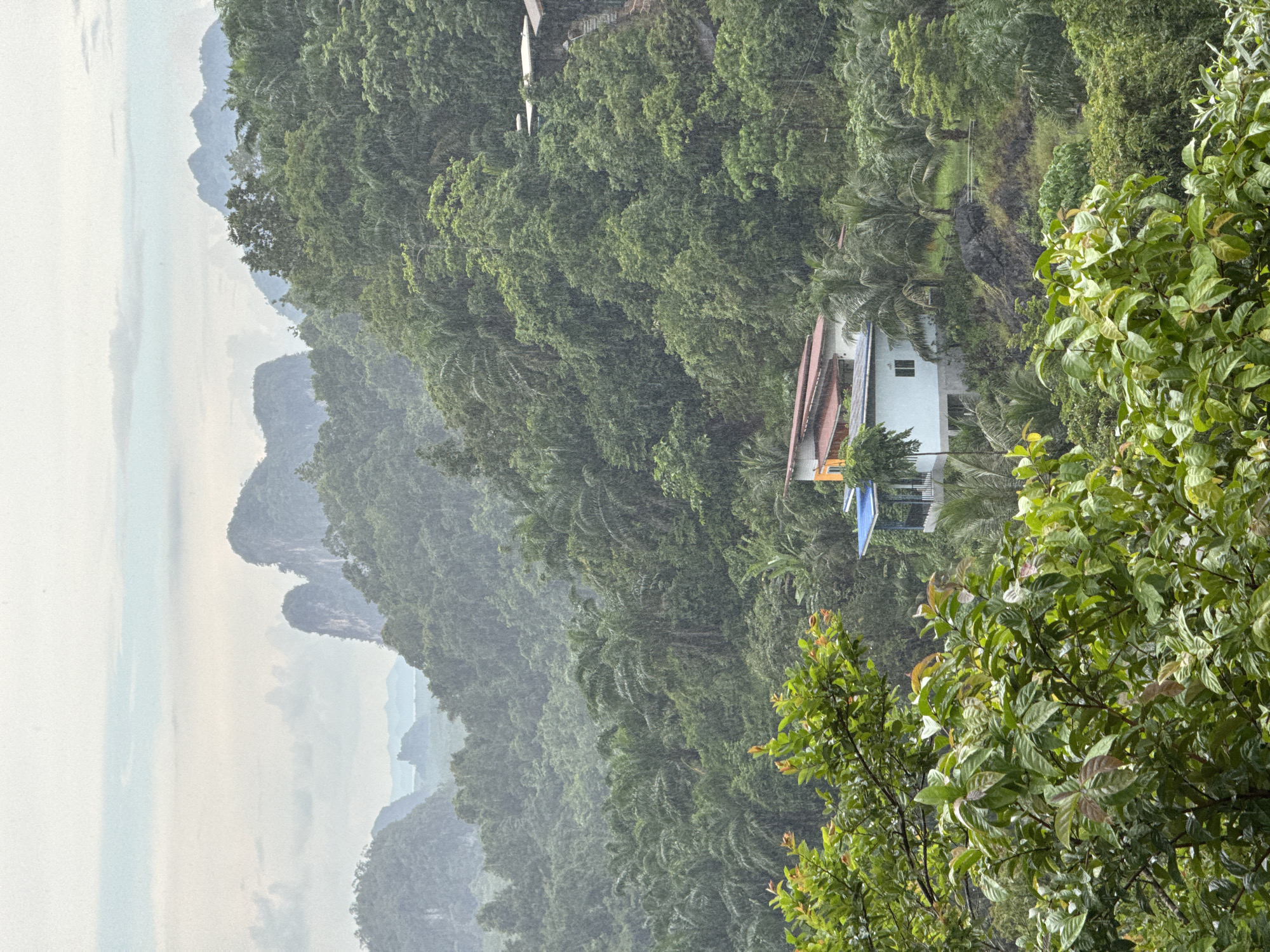 The image depicts a view of lush green foliage and karst mountains in Ban Tak Daet, Thailand, during a rain shower. In the mid-ground, a white house with a red-tiled roof is situated on a hillside, surrounded by dense vegetation. A second building with a blue roof is visible further up the hill, with a staircase leading to it. The foreground is dominated by large green leaves. The overall atmosphere is one of a tropical rainforest landscape experiencing inclement weather.