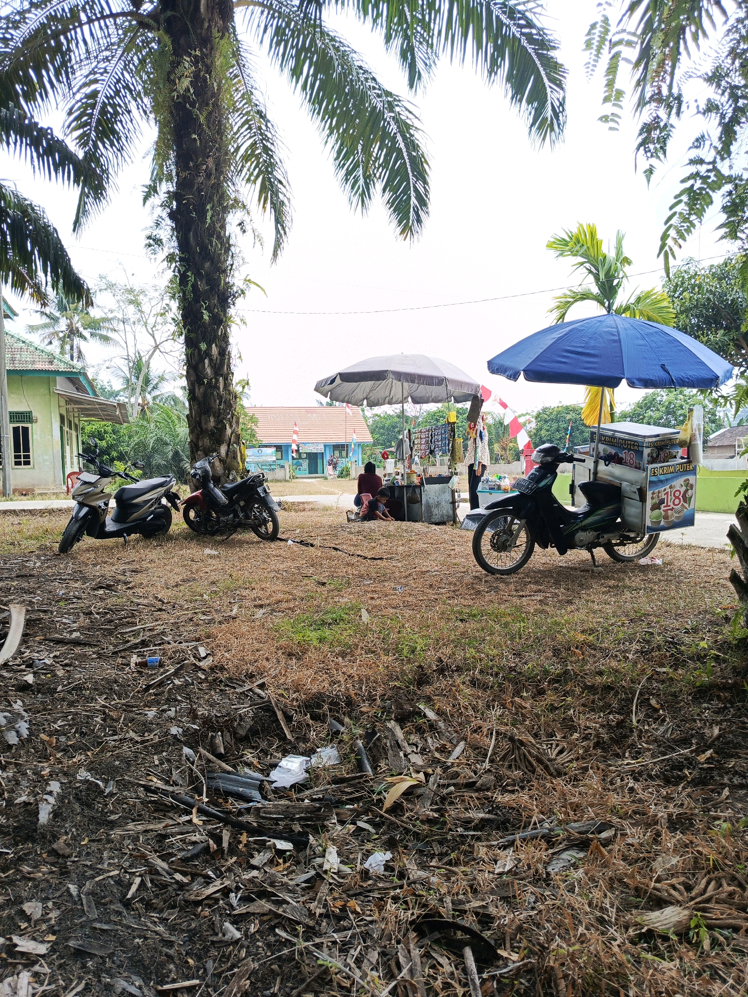 A scene unfolds in Megang Sakti V, Indonesia, featuring two parked motorcycles and a makeshift ice cream cart. The ice cream cart, attached to a motorcycle, displays a "ES KRIM PUTER" (ice cream) sign and an image of ice cream cones. Two umbrellas provide shade, one a large blue one over the ice cream cart, the other a gray one over a stall to the left. The stall appears to be selling various goods.
In the background, a modest building with a green roof is visible, suggesting a residential or community structure. Further back, a larger building with a red roof and a flagpole with a red and white flag is present, possibly a school or a local government office. Scattered debris, including plastic and organic matter, litters the foreground, indicating a less-maintained area. The environment is characterized by dry grass and a prominent palm tree. Two individuals are partially visible near the stall, with one sitting and another standing, suggesting human presence and activity. The sky is overcast, contributing to a soft, diffused light.