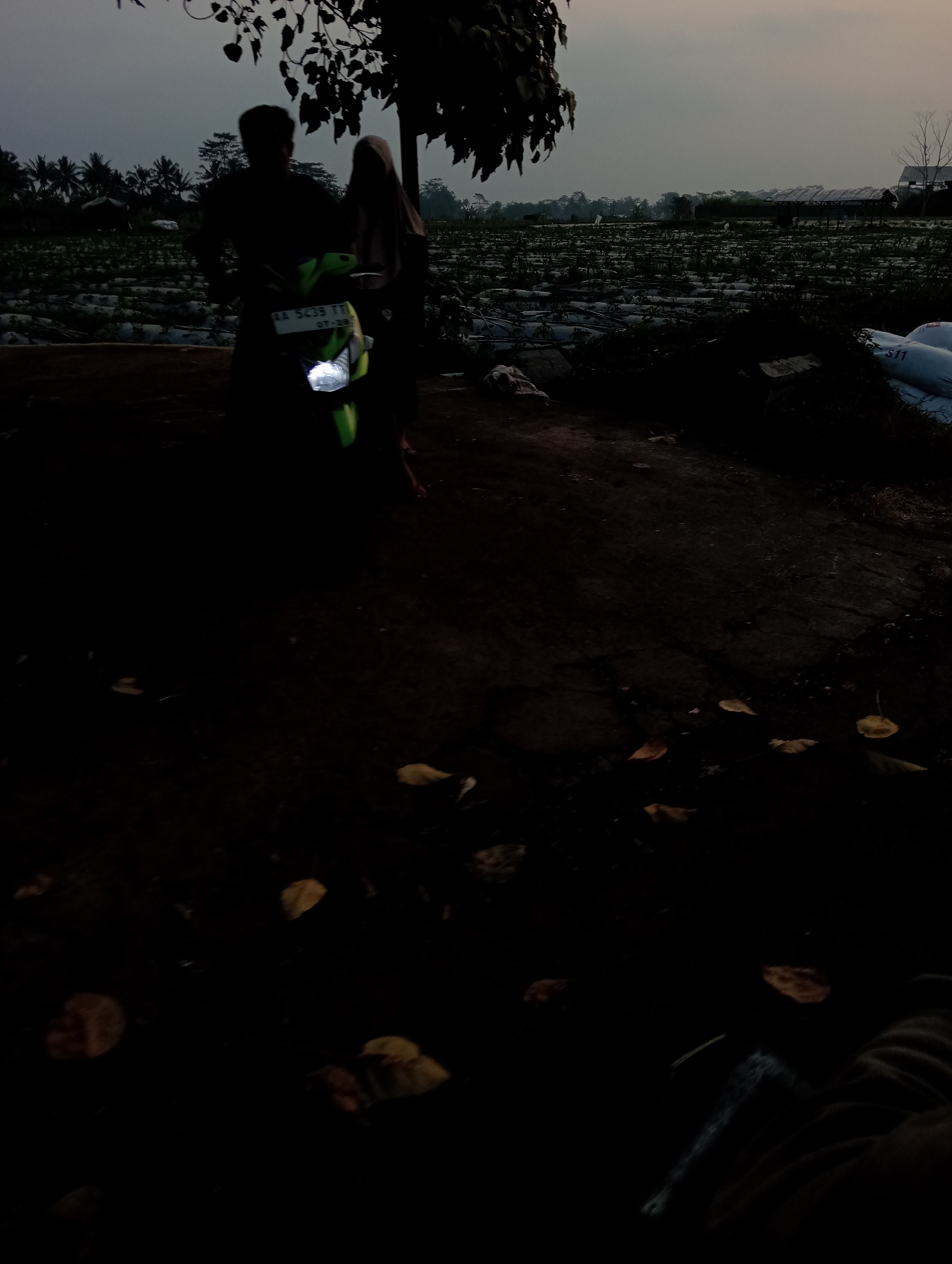In the dim light of dusk in Krajan Kidul, Indonesia, a motorcycle with its headlight on is parked on a dirt path. A person wearing a head covering stands behind the motorcycle, while another person, whose form is less distinct, stands in front of it. In the background, a vast field stretches out, covered in what appears to be plastic sheeting used for agriculture, with rows of plants visible beneath. The sky above is overcast, casting a soft, diffused light over the landscape. The scene is bordered by the dark silhouettes of trees and foliage in the foreground, and further in the distance, more trees and structures are faintly visible. Bags are stacked on the right side of the frame.
