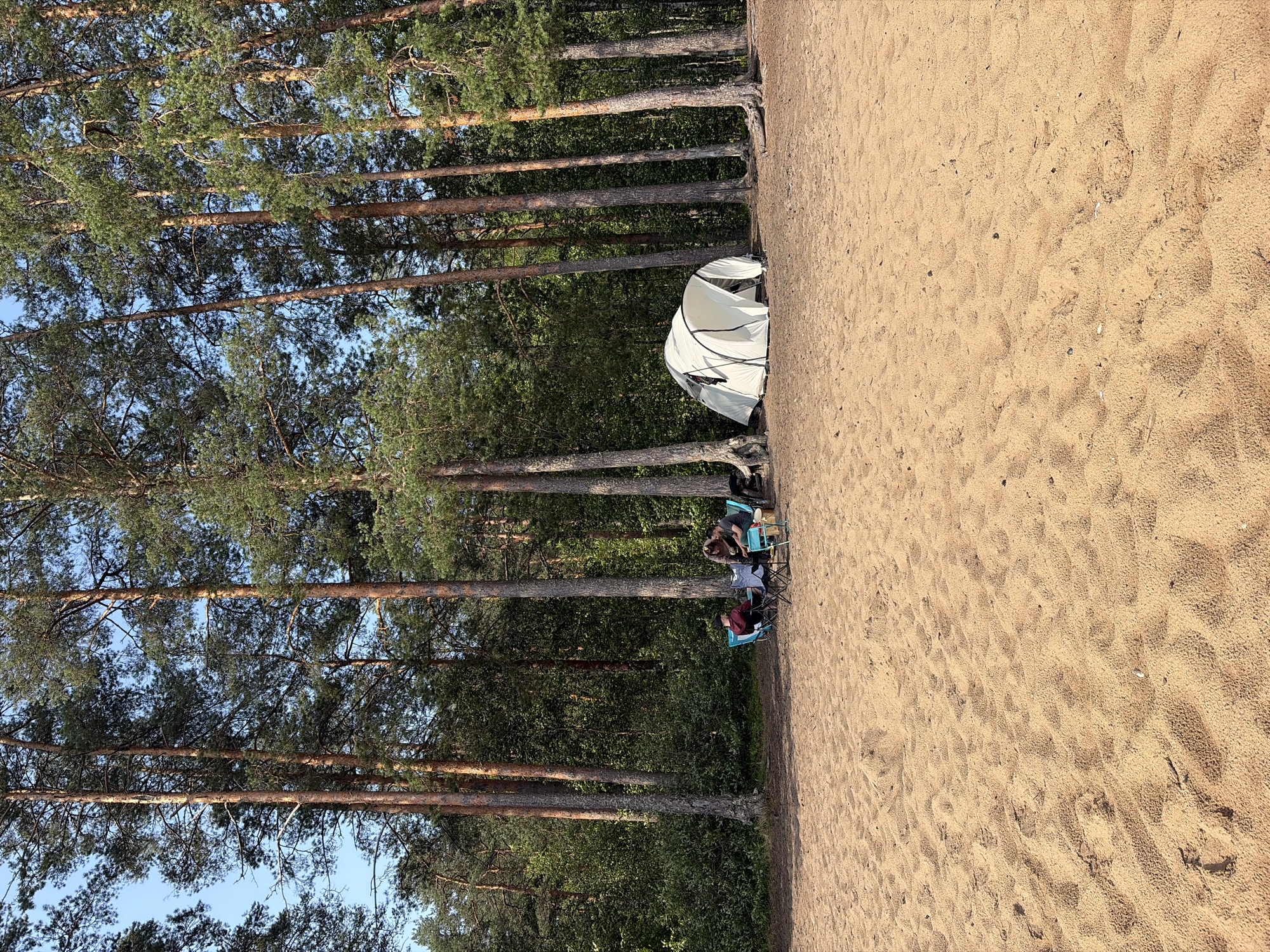 In Vaskelovo, Russia, a group of three individuals are seated around a portable table on a sandy beach, situated at the edge of a dense pine forest. Two individuals are seated in blue camping chairs, and another is in a dark chair. They appear to be engaged in conversation. To their right, a white tent is pitched on the sand, its entrance open. The environment is characterized by tall pine trees with a clear blue sky above. The sand is light brown and uneven, with some small debris scattered across it.