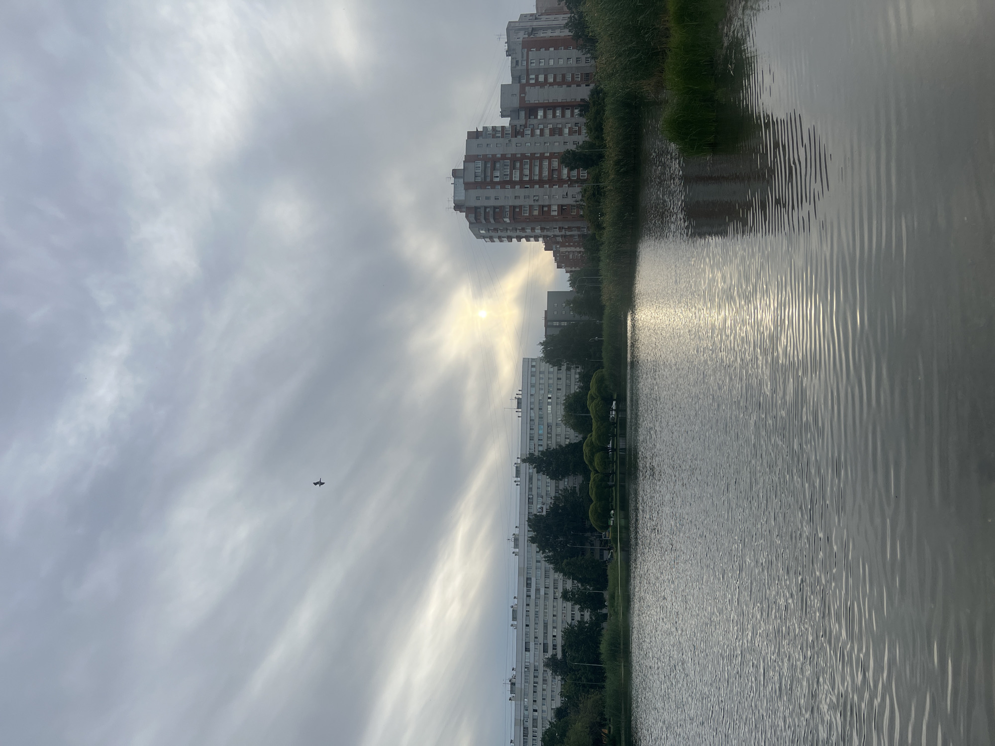 This media file displays a waterscape with apartment buildings and vegetation along the shoreline. The image is oriented vertically, with the water occupying the right side and the sky and buildings on the left. The sun is partially obscured by clouds, suggesting it is either early morning or late afternoon. The sky is overcast with dramatic, streaky clouds that catch the sunlight.
The main subjects are several multi-story apartment buildings, characterized by their red and white facades, arranged in a line along the water's edge. Dense green vegetation, including trees and tall grass, separates the buildings from the water. The water itself has a rippled surface, reflecting the muted light of the sky and creating a textured pattern.
In the sky, a single bird is visible in flight, a small dark silhouette against the cloudy expanse.
The scene depicts a tranquil, perhaps even somewhat somber, atmosphere due to the overcast conditions and the muted colors. The presence of the apartment buildings suggests an urban or suburban setting. The location context of Sinyavino, Russia, places this scene within that geographical area. No text is visible in the image.