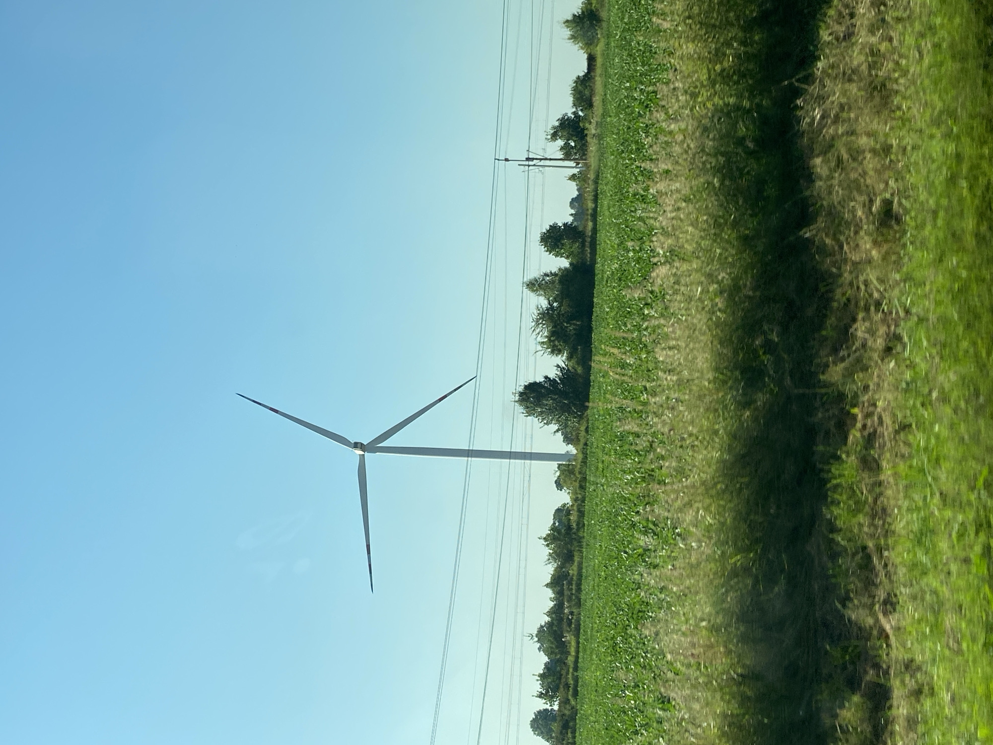 In Wojnowice, Poland, a tall white wind turbine stands prominently in a vast, green agricultural field under a clear, blue sky. The turbine has three blades, one pointing upward and to the left, the other downward and to the left, and the third blade is out of view, likely to the right. Power lines stretch horizontally across the middle ground of the image, supported by utility poles. The foreground and mid-ground are filled with lush green crops, possibly corn, with some dry grasses and vegetation visible at the very bottom of the frame. A line of trees borders the field in the distance, and the overall scene depicts a rural, open landscape on a bright, sunny day.