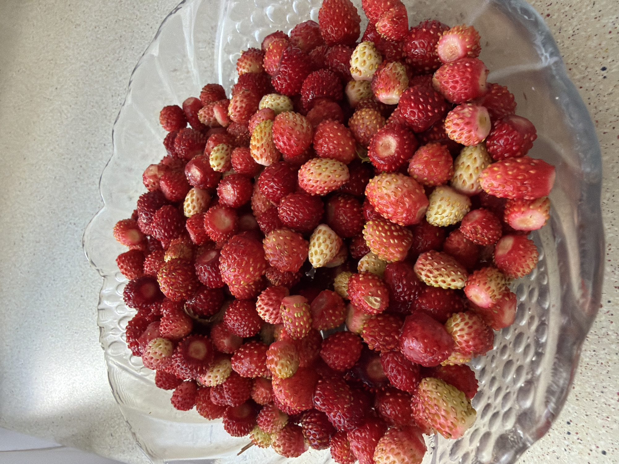 A clear glass bowl, featuring a scalloped rim and a textured interior surface, is filled with a substantial quantity of small, ovoid berries. The berries display a primary coloration of deep red, interspersed with a significant number of pale yellowish-white and pinkish-red berries, indicating varied stages of ripeness. Each berry exhibits a textured surface covered in tiny, protruding seeds. The bowl rests on a light-colored, speckled countertop that shows subtle variations in tone. The background is out of focus, revealing a light-toned wall or surface with indistinct shadows, suggesting an indoor setting. The scene is illuminated by ambient light from an unidentifiable source. Location: Unknown, Unknown.