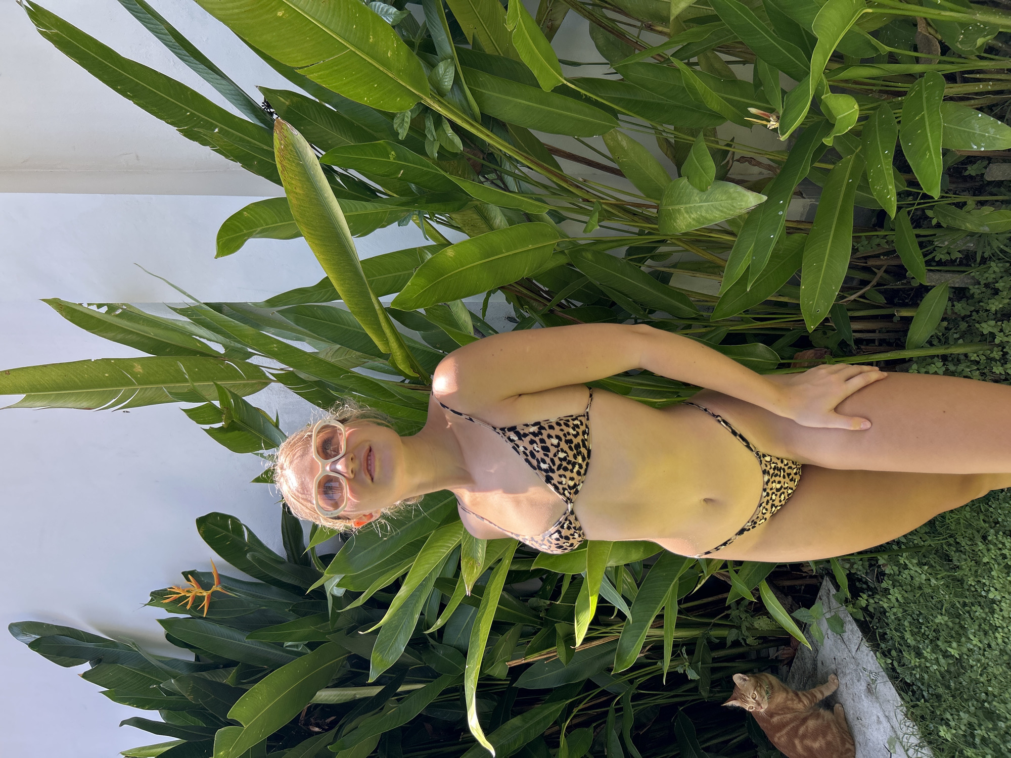 A fair-skinned woman in a leopard print bikini and sunglasses is positioned among dense, tropical foliage near a white wall. A Heliconia flower blooms to the left of her. A ginger tabby cat is seen on the ground to her lower right. The image appears to be taken outdoors, possibly in a private garden or near a building with garden elements. Given the location of Kuta Selatan, Indonesia, the environment likely experiences warm temperatures and humidity, conducive to lush plant growth. The precise geographic coordinates are not discernible from the image alone.