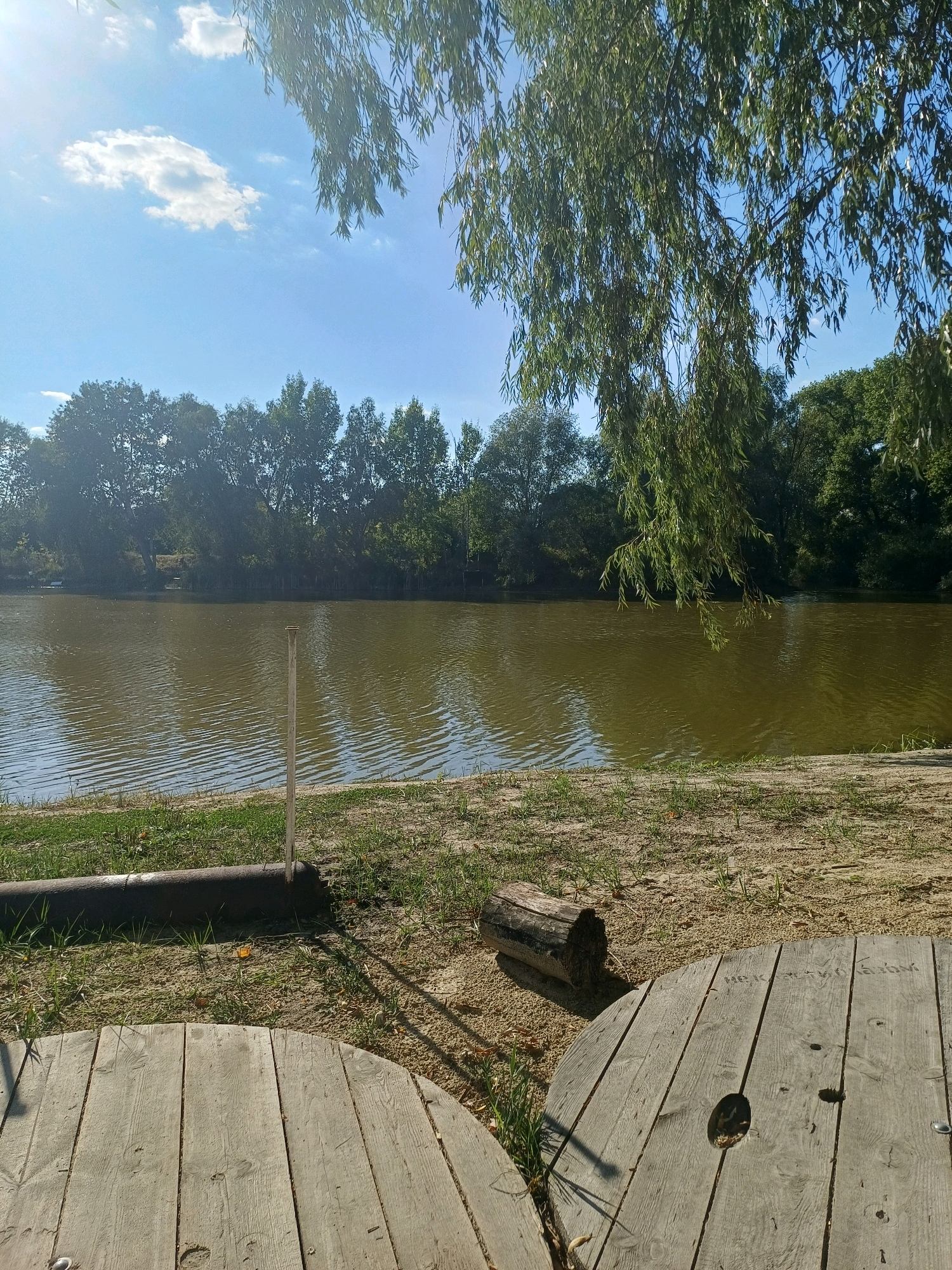 The image depicts a serene natural scene, likely near the city of Sulymivka, Ukraine. The foreground features two large, circular wooden structures, possibly spools, laid on a sandy ground with scattered patches of grass. To the left, a thick, dark metal pipe lies horizontally on the ground. A thin, vertical wooden post stands near the pipe, casting a shadow. A small, weathered log rests on the sand to the right of the post.
The middle ground is dominated by a body of water, a lake or river, with ripples on its surface reflecting the sunlight. The water appears murky green or brown. The far bank is lined with a dense row of lush green trees, forming a natural boundary. Above the trees, a clear blue sky with a few scattered white clouds is visible. The upper right portion of the image is shaded by the drooping branches and leaves of a large tree, likely a willow, with its leaves obscuring parts of the sky and distant trees. The overall impression is one of a peaceful, sunlit day in a natural setting. There are no people or animals visible in the frame.