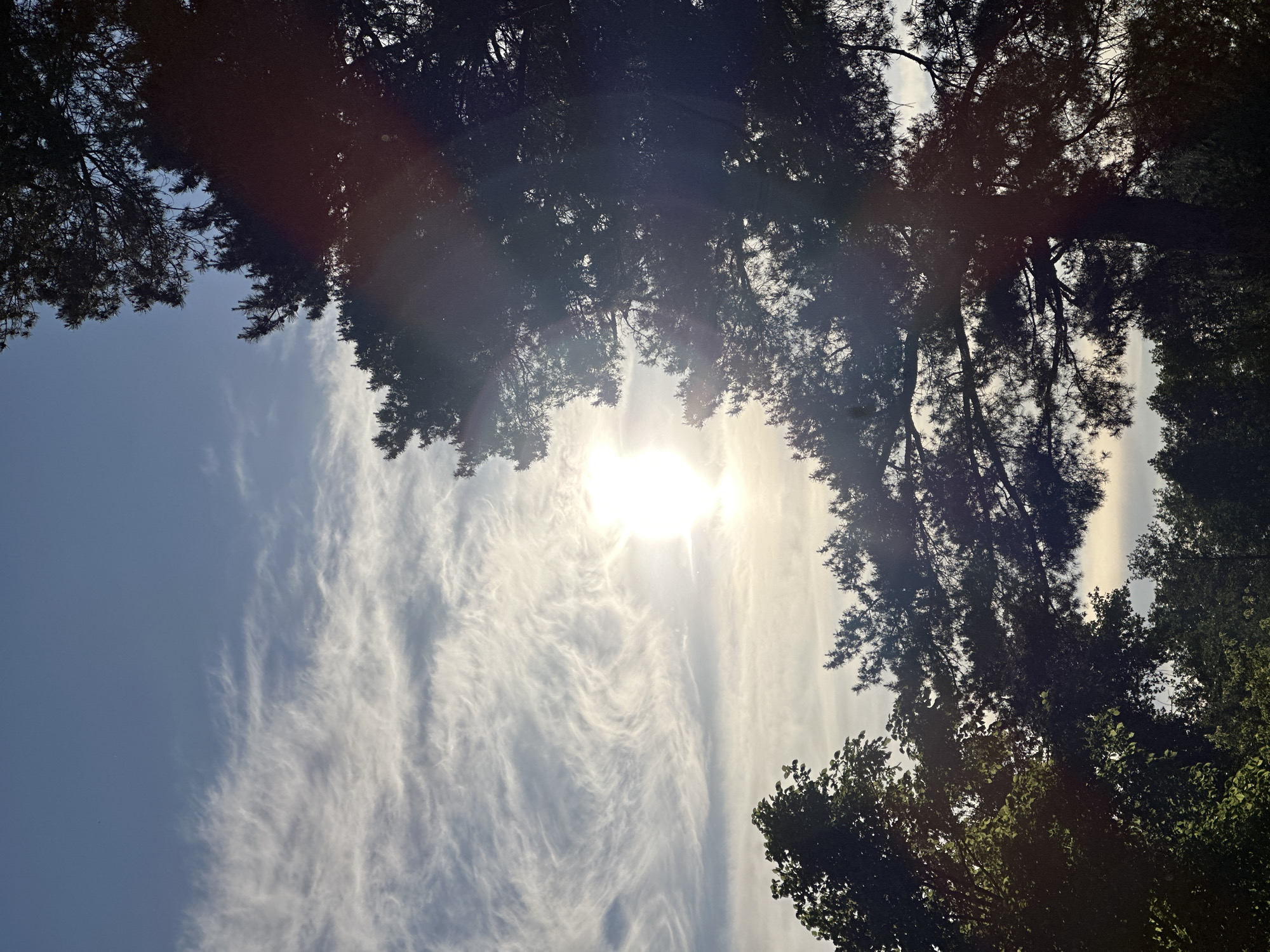 The image shows a view looking up at the sky through trees, possibly in a park. The sun is visible, creating a bright spot in the center of the image, surrounded by thin, wispy clouds. The trees frame the sky, appearing as dark silhouettes. No people or specific objects are discernible. The location, Vladimir, Russia, is not verifiable from the image.