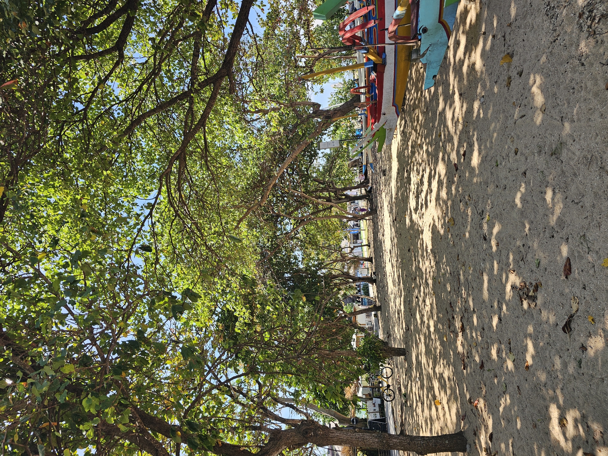 This image depicts a sandy beach area with numerous trees providing ample shade. The ground is covered in sand and fallen leaves, with dappled sunlight filtering through the foliage. In the foreground and midground, several brightly colored traditional Indonesian fishing boats, known as jukungs, are pulled ashore. These boats exhibit vibrant paintwork in red, yellow, blue, and green. To the left of the scene, a yellow bicycle is parked near the edge of the beach, adjacent to a row of shops or restaurants with thatched roofs and signs. The background reveals more trees and some buildings, suggesting a developed area near the coast. The overall impression is a tranquil, tropical beach setting with a focus on local watercraft and the natural environment. This scene is likely located in Denpasar, Indonesia, a city known for its beaches and cultural elements like traditional boats.