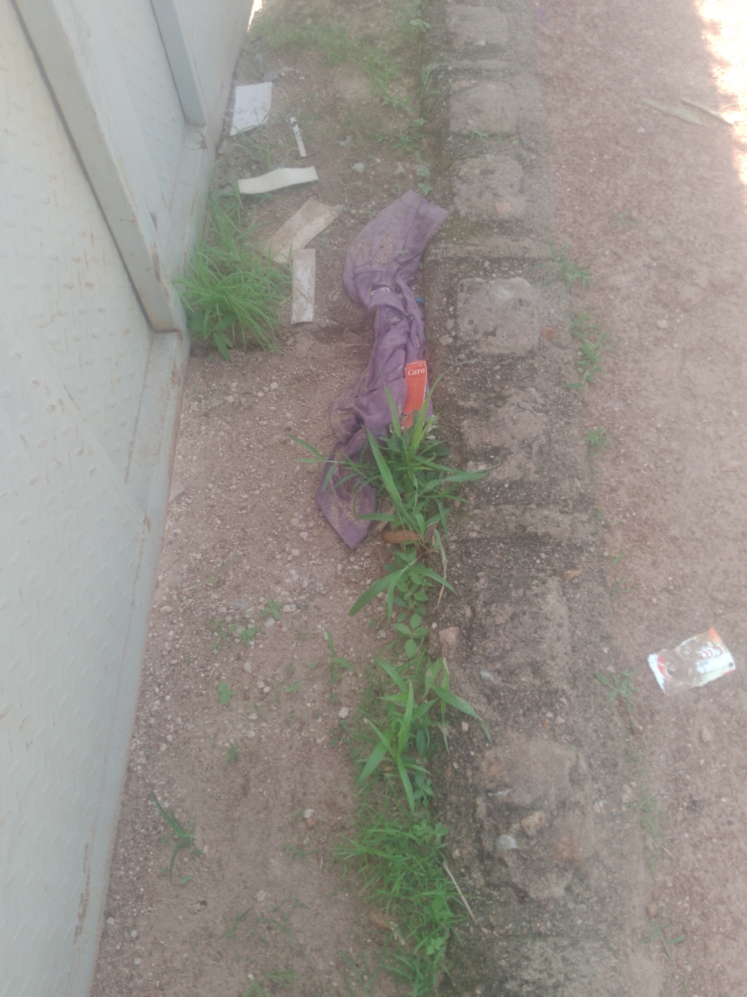 The image shows a close-up, overhead view of a patch of rough, gravelly ground next to a textured, light-colored metal wall. A tangled cluster of green grass grows in the foreground, along the base of the wall. To the right of the grass, a crumpled piece of purple fabric lies on the ground, with a small red and white label that appears to say "Caro" visible near the bottom. Further to the right, a narrow, raised border made of rough, uneven concrete blocks runs diagonally across the scene. More sparse patches of grass grow along this border and on the gravelly ground beyond it. A few small pieces of litter, including a crumpled red and white wrapper, are scattered on the ground. The lighting suggests an outdoor environment, likely in daylight. The scene is static and shows no people or animals.