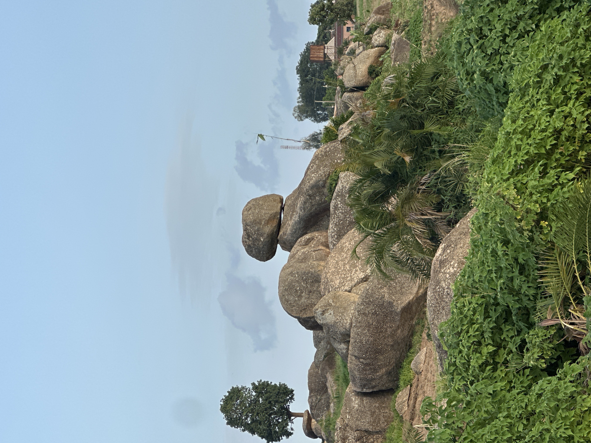 A vertical, outdoor, eye-level shot captures a natural landscape characterized by large boulders, lush green vegetation, and a pale blue sky with scattered clouds. The scene appears to be a rocky, elevated area, likely a hillside or plateau, covered in dense foliage that includes palm fronds and other leafy plants.
Dominating the center-left of the image is a striking formation of several large, rounded boulders. One boulder is precariously balanced atop another, creating a visually interesting focal point. A lone, leafy green tree stands on a rocky outcrop to the left of the boulder formation. In the background, on the far right, a structure resembling a small building or house can be seen amongst the trees, and a faint silhouette of a telecommunications tower is visible against the sky, along with a flag on a pole. The lighting suggests it is either early morning or late afternoon, with soft, diffused light characteristic of overcast or cloudy weather. The overall mood of the image is serene and natural, highlighting the rugged beauty of the terrain. The location context provided is Jos, Nigeria. No text is visible in the image.