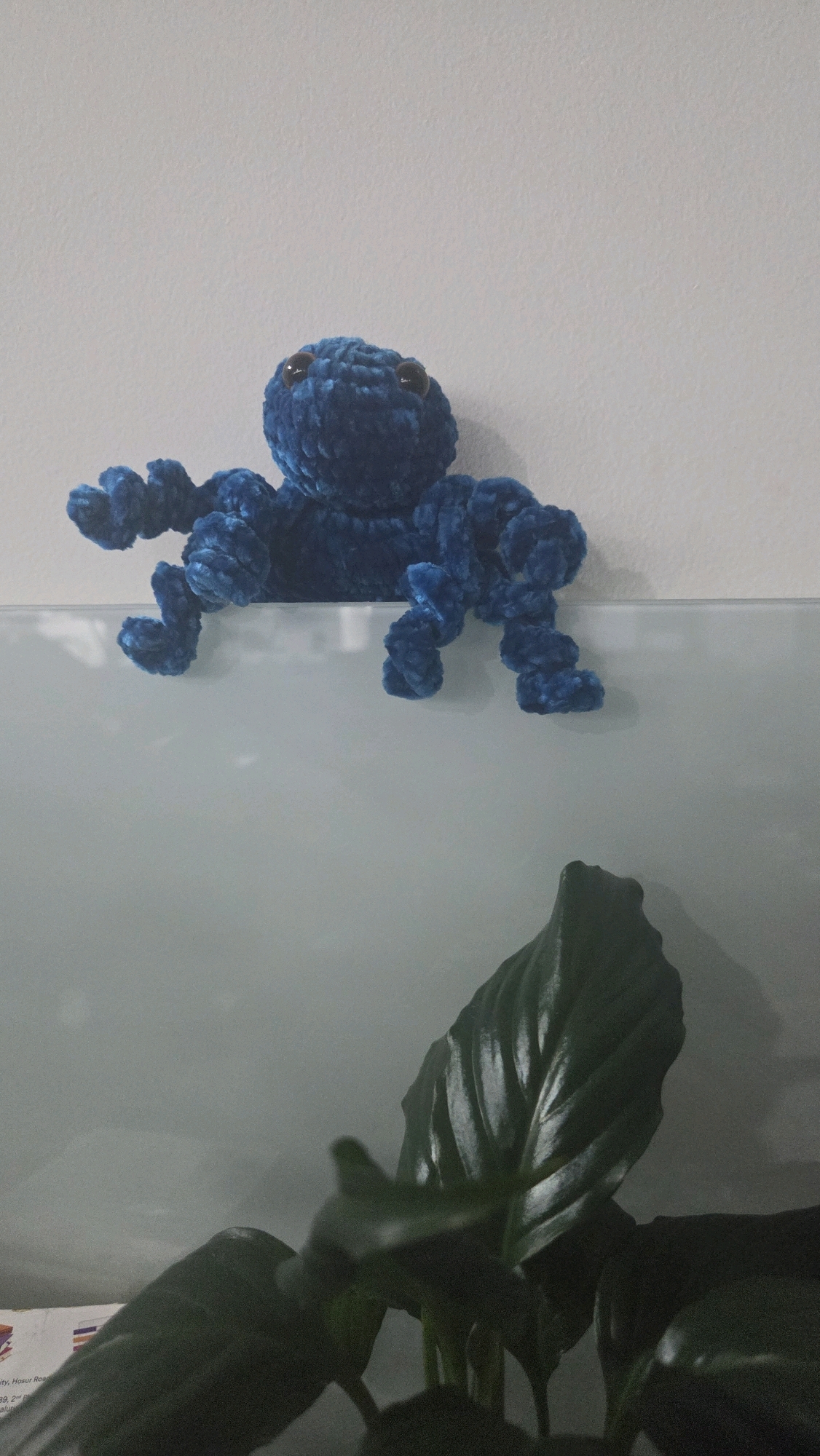 A blue crocheted octopus toy is perched on the edge of a frosted glass surface, with its tentacles draped over the edge. Below the glass surface, a large, dark green leaf of a plant is visible. The background is a plain, light-colored wall. The scene is indoors, and no specific location in Bengaluru, India, can be identified.