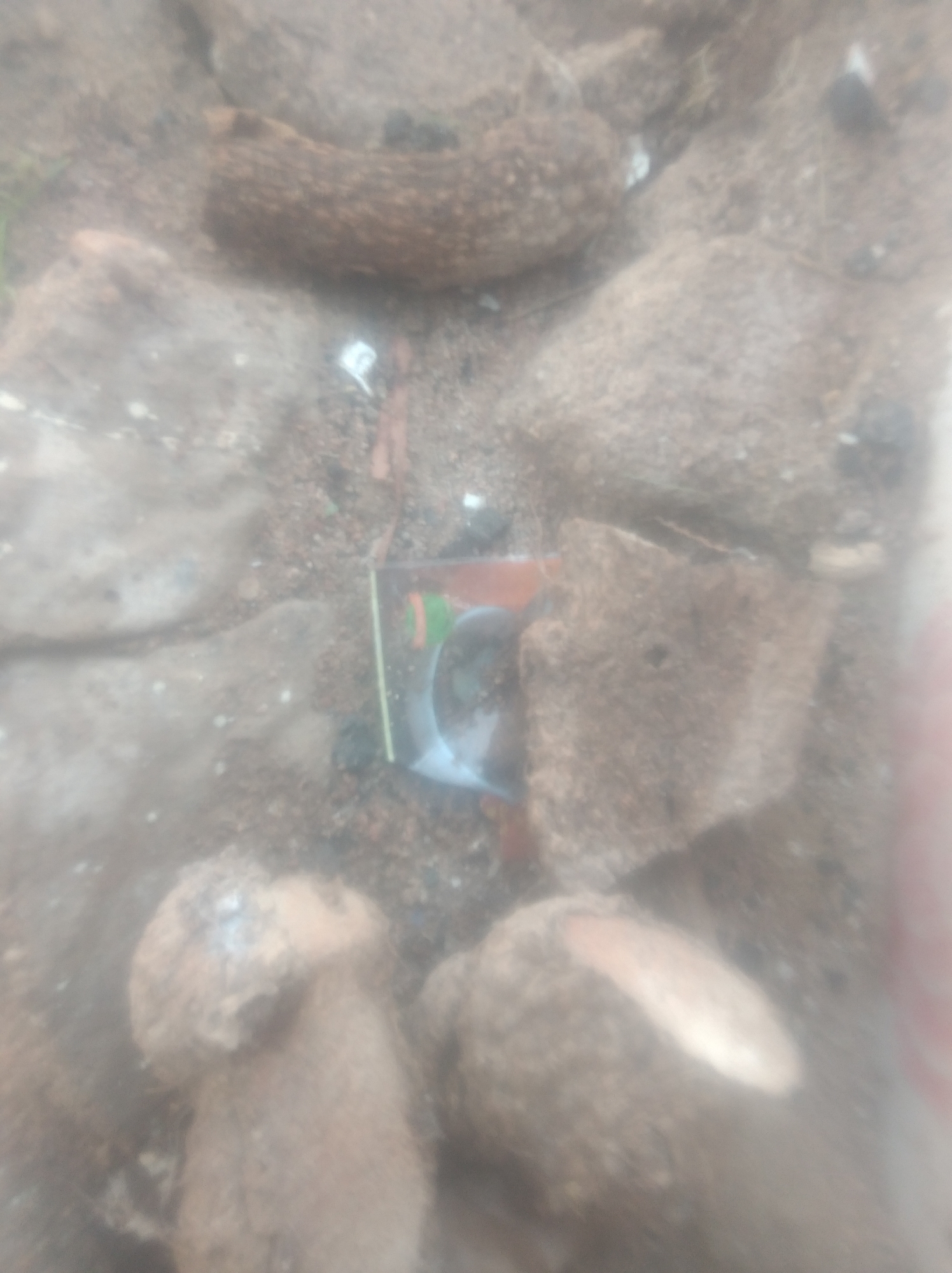 The image shows a close-up, out-of-focus view of what appears to be a collection of root vegetables or tubers resting on the ground, possibly soil and small stones. Among these items, a small, colorful object, possibly a candy wrapper or a piece of plastic packaging, is visible. The lighting suggests an outdoor environment, and the overall blurriness makes specific identification of the objects and their surroundings difficult. No discernible landmarks or urban features are visible to indicate a specific location within Jalingo, Nigeria. The scene is static with no apparent human activity or interaction.